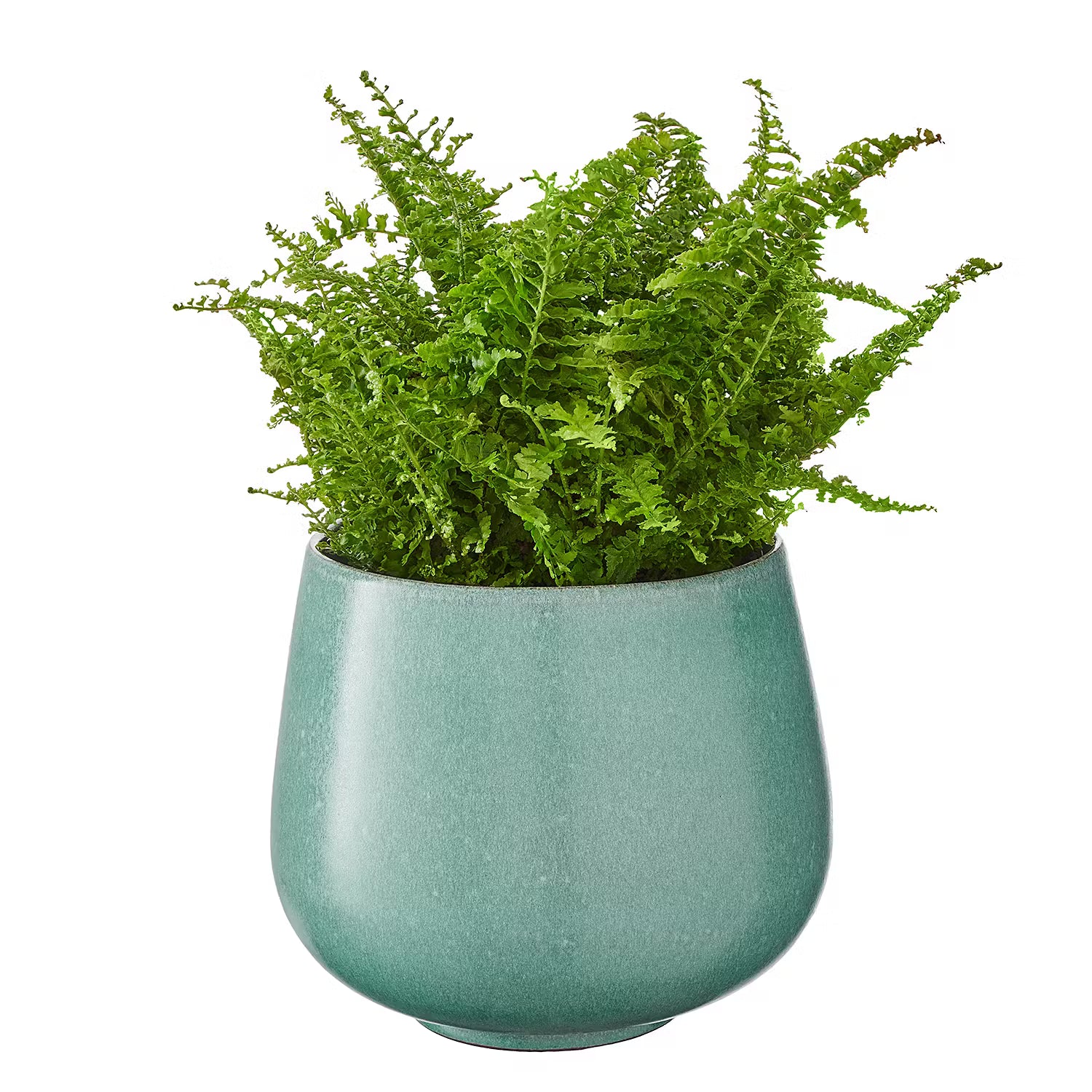 LINO Blumenübertopf - Terracotta - Türkis