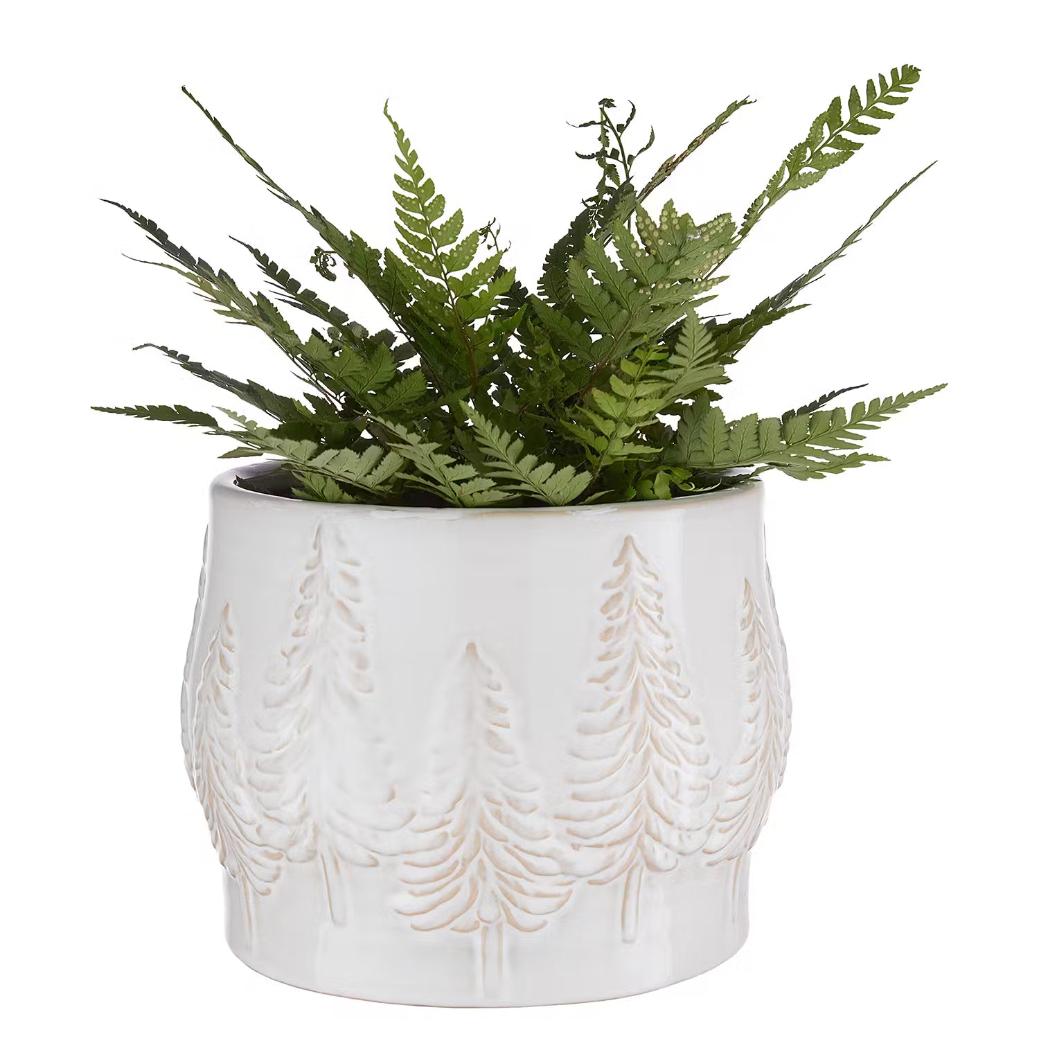 WOODLAND Übertopf - Steingut - Creme