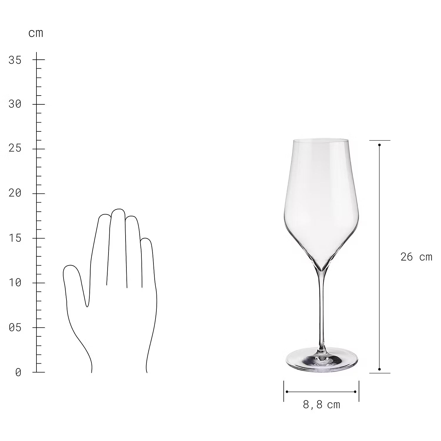 NOBLES Weißweinglas 6er-Set - Glas - Transparent