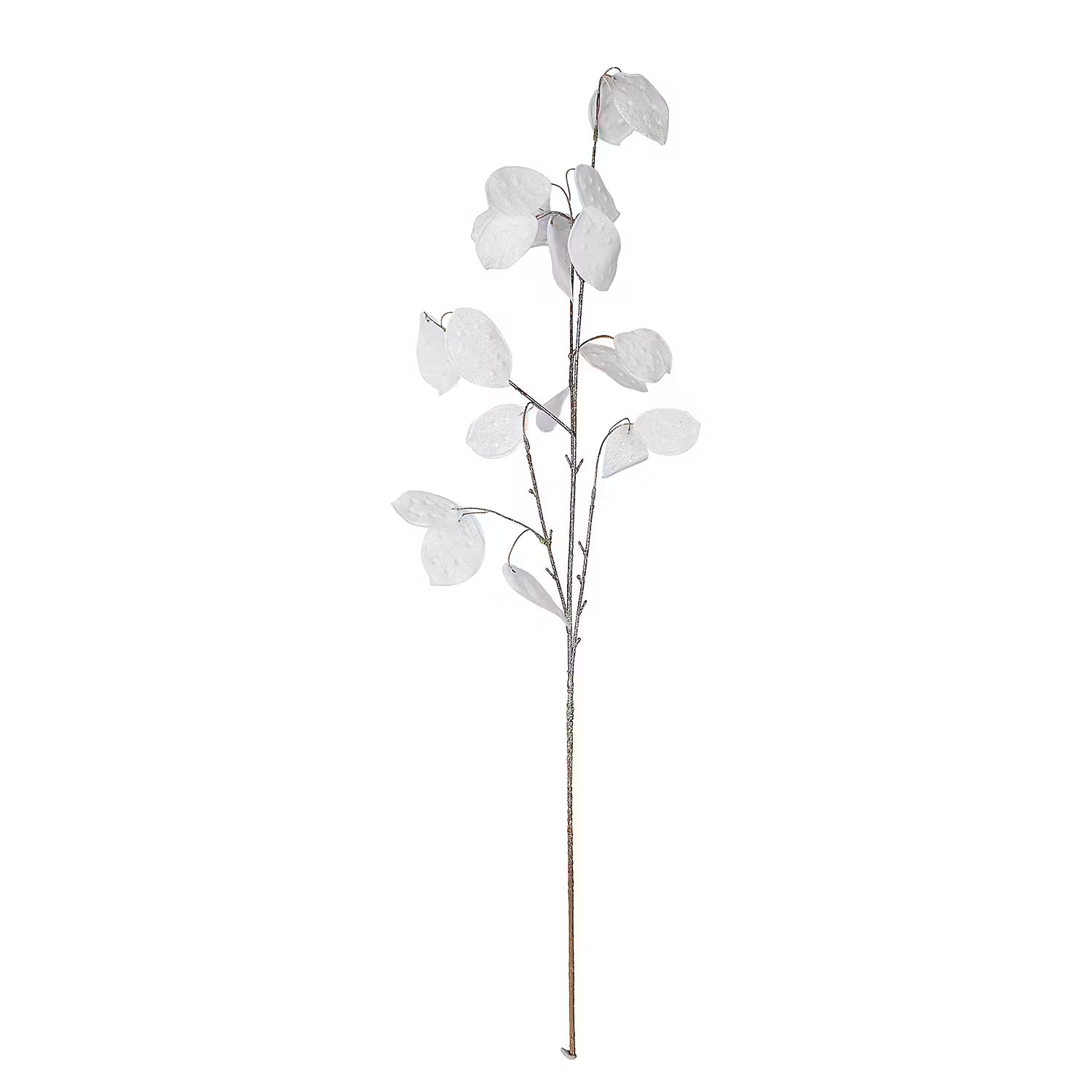 FLORISTA Silberblatt Glitzer - Polyethylen - Weiß