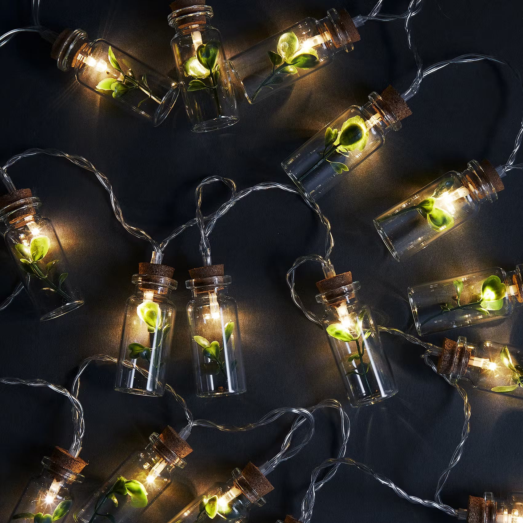 URBAN JUNGLE LED-Lichterkette Einmachgläser - Glas, PVC, Kupfer - Transparent