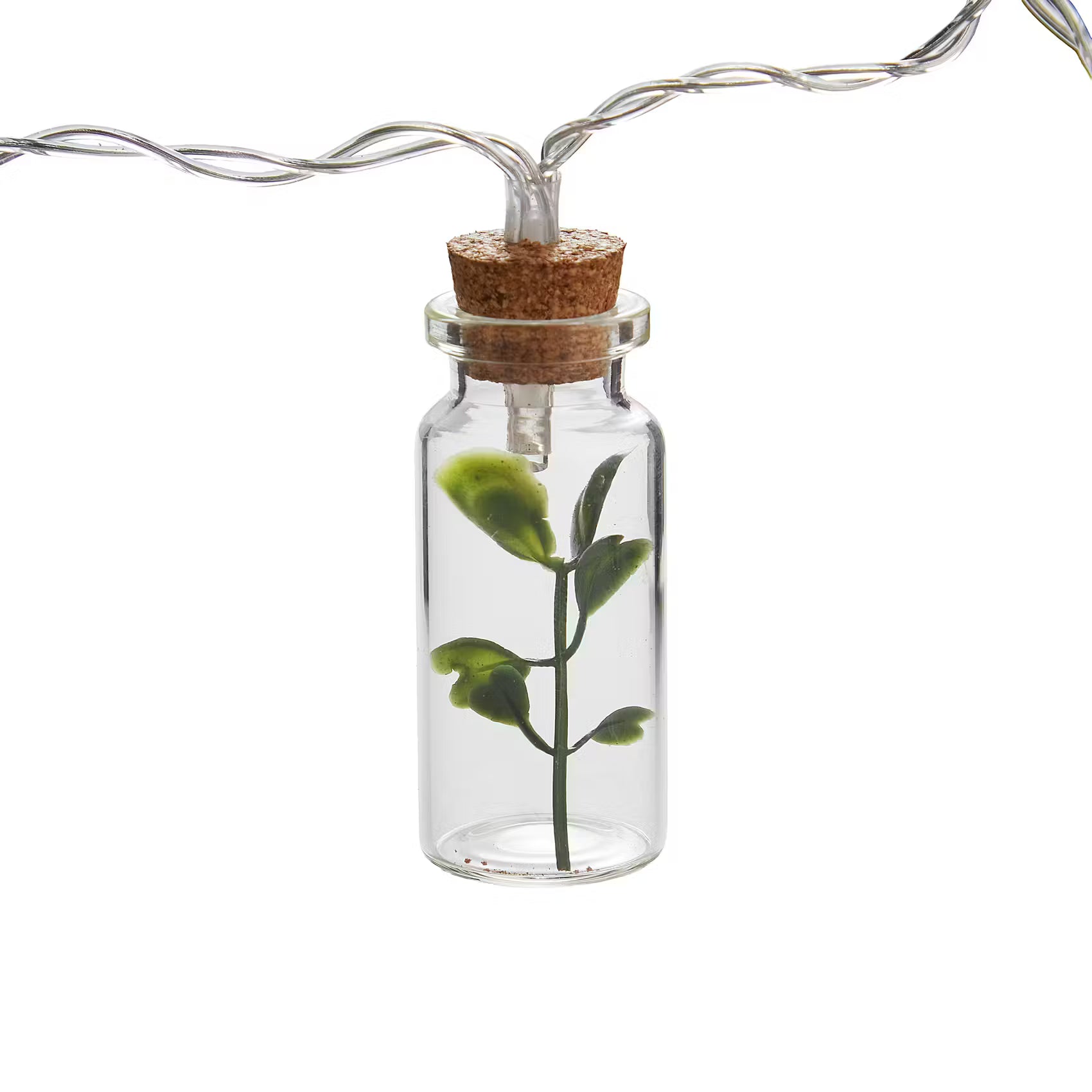 URBAN JUNGLE LED-Lichterkette Einmachgläser - Glas, PVC, Kupfer - Transparent