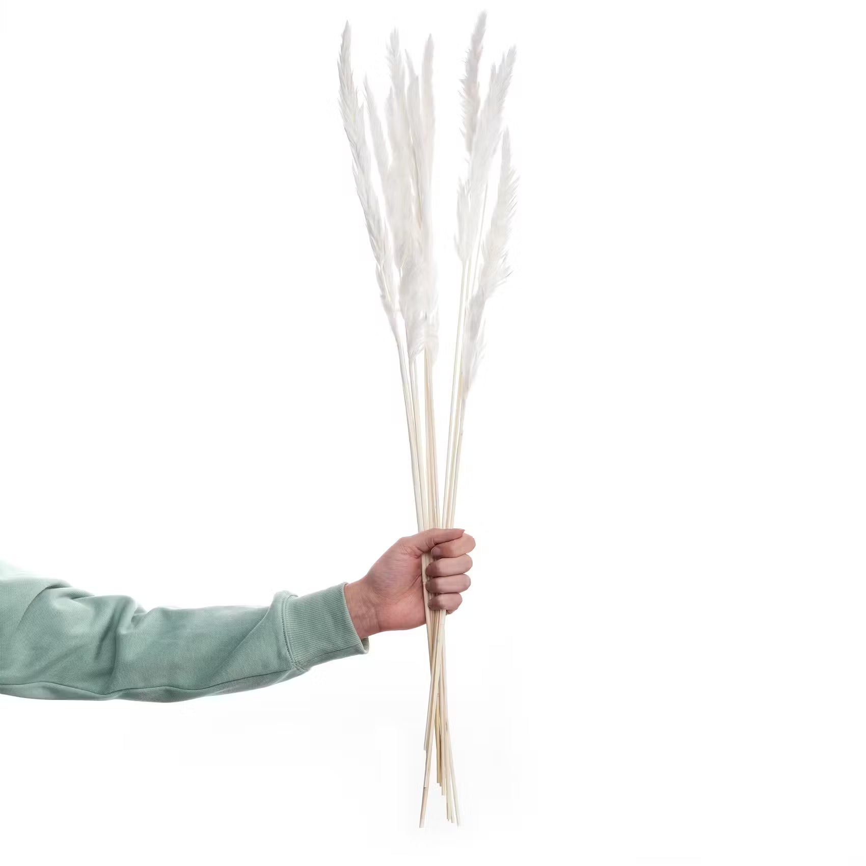 FLOWER MARKET Trockenblumen Pampasgras