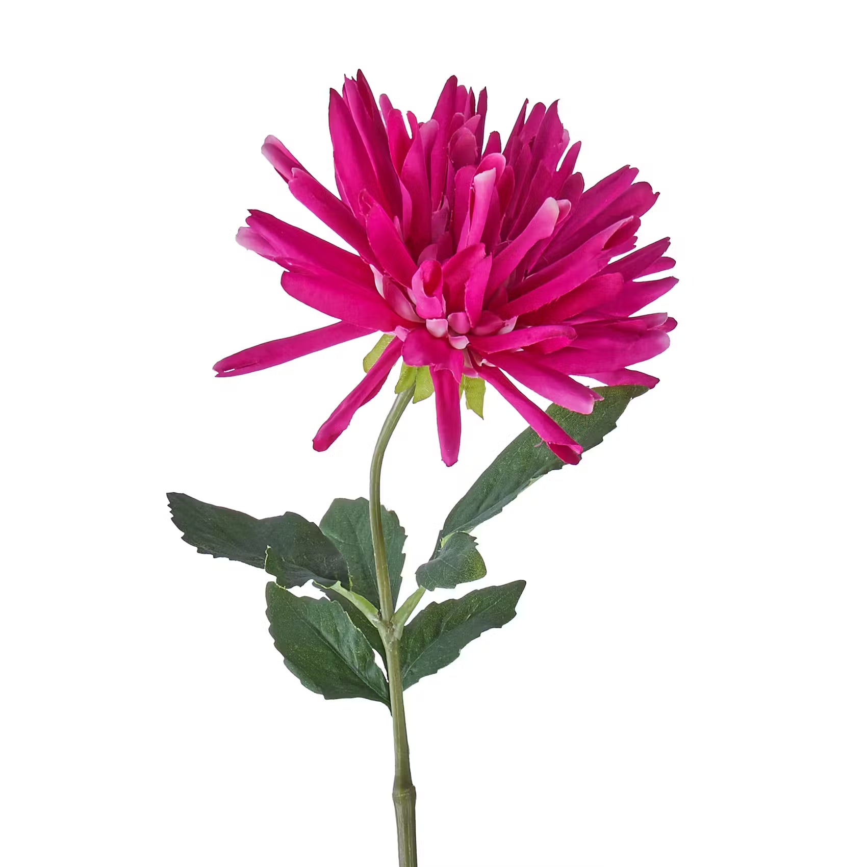 FLORISTA Kunstblume Dahlie - Polyethylen/Polyester - Pink - Pink
