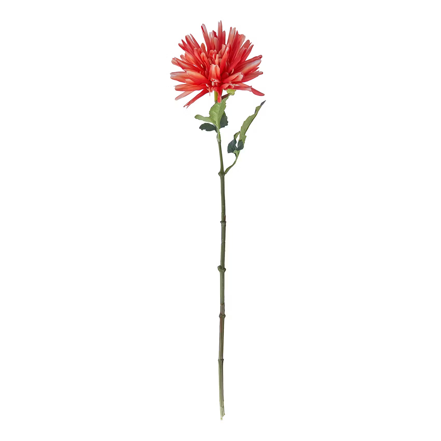 FLORISTA Kunstblume Dahlie - Polyethylen/Polyester - Rosa - Apricot