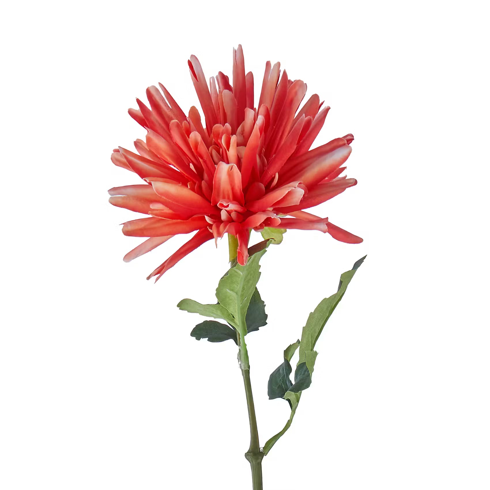 FLORISTA Kunstblume Dahlie - Polyethylen/Polyester - Rosa - Apricot