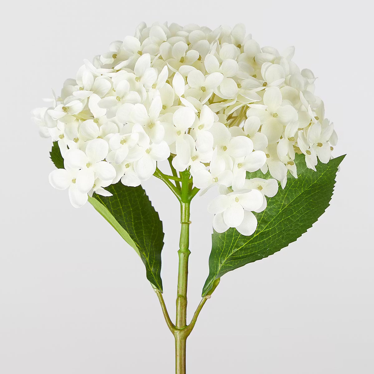 FLORISTA Hortensie Kunstblume – Schöne Blüte – BUTLERS