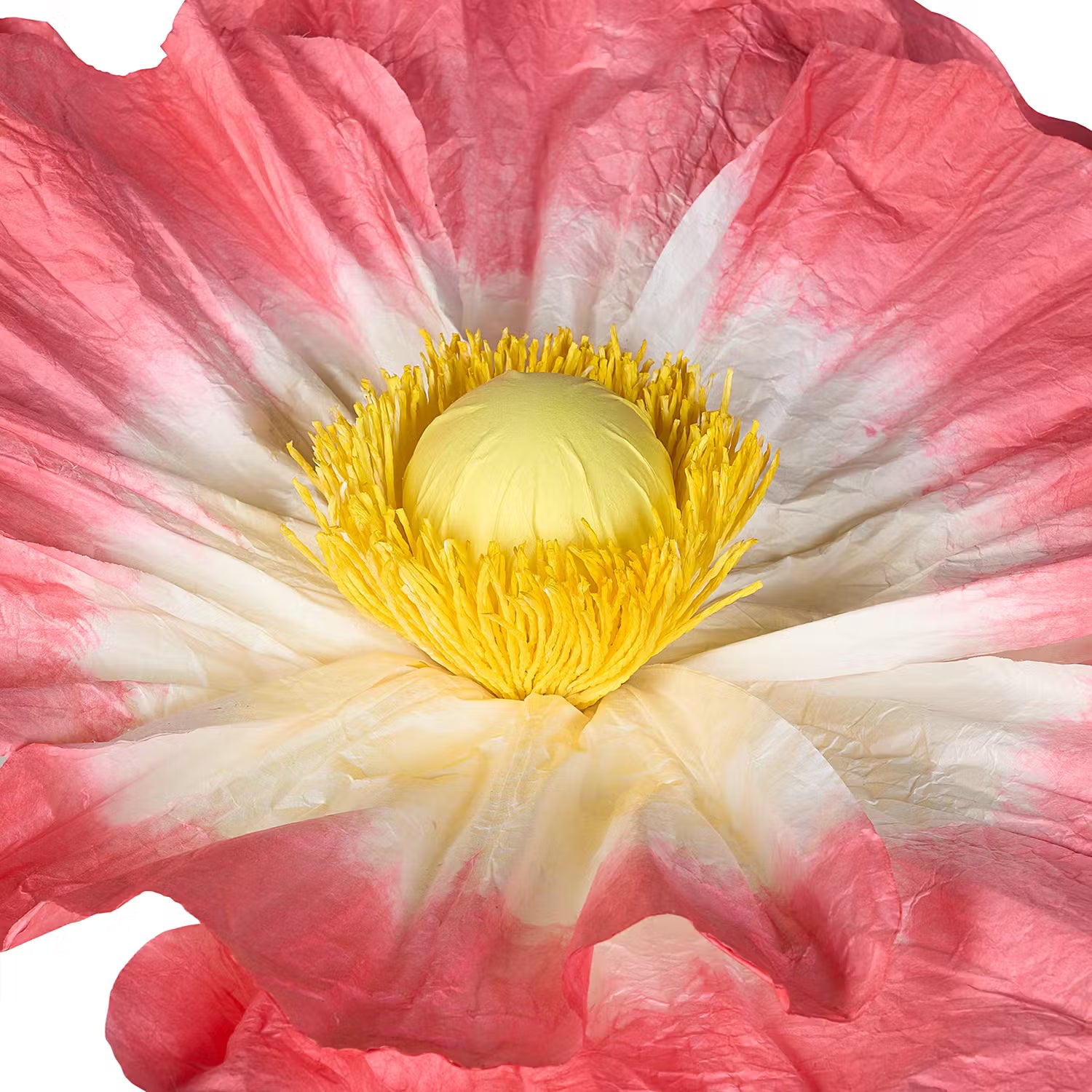 BLOOM Deko-Blume - Papier / Eisen - Pastellorange