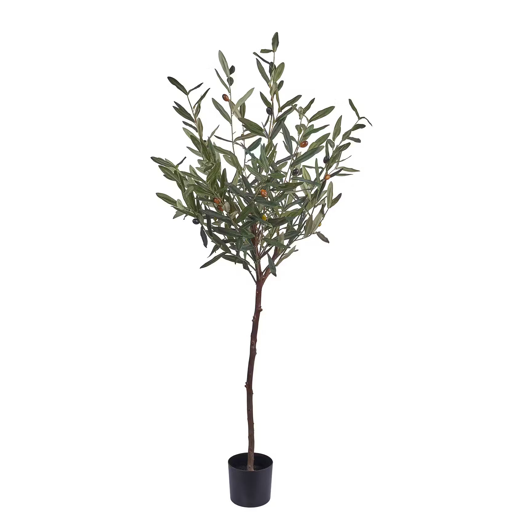 FLORISTA Kunstpflanze Olivenbaum - Polyester / Polyethylen - Natur