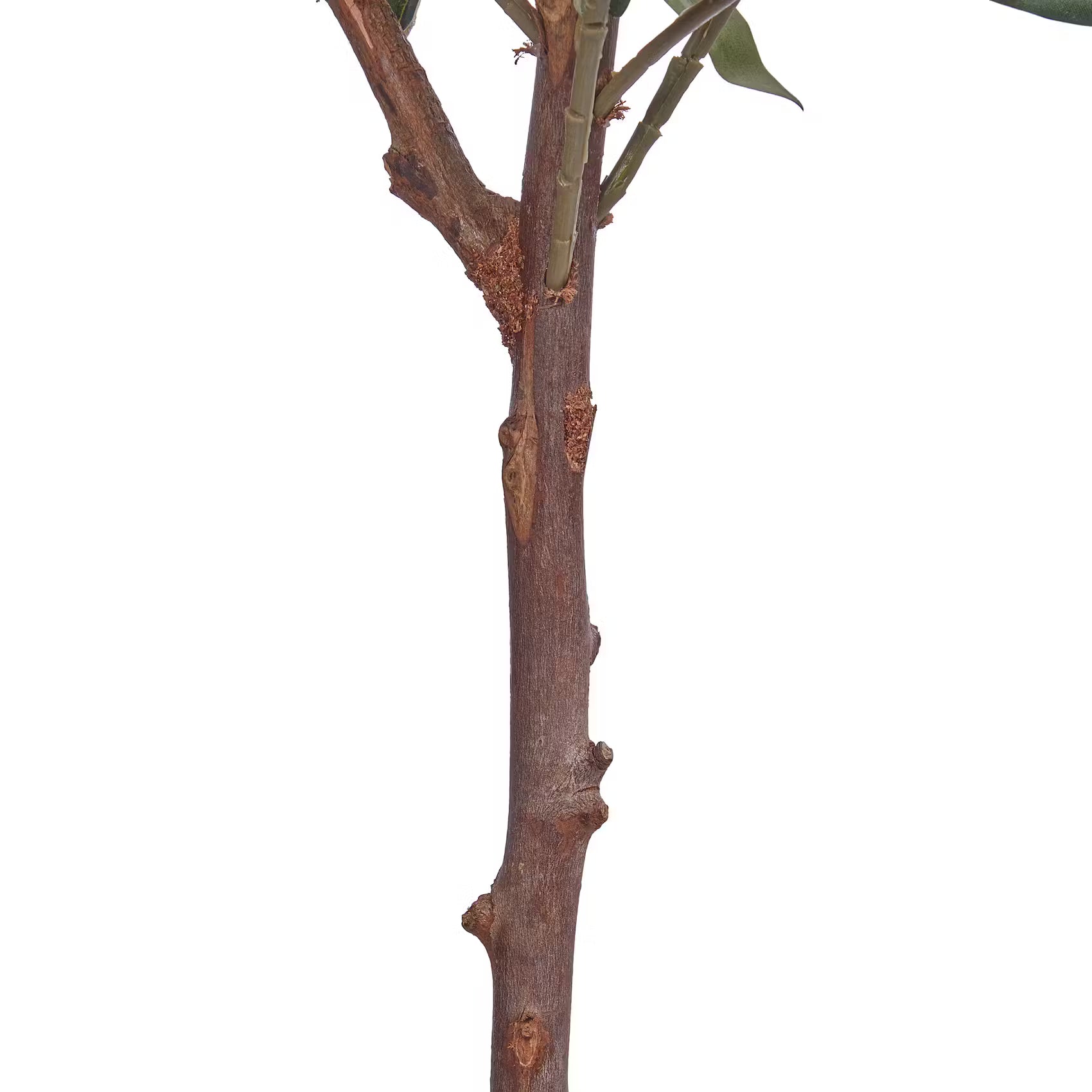 FLORISTA Kunstpflanze Olivenbaum - Polyester / Polyethylen - Natur