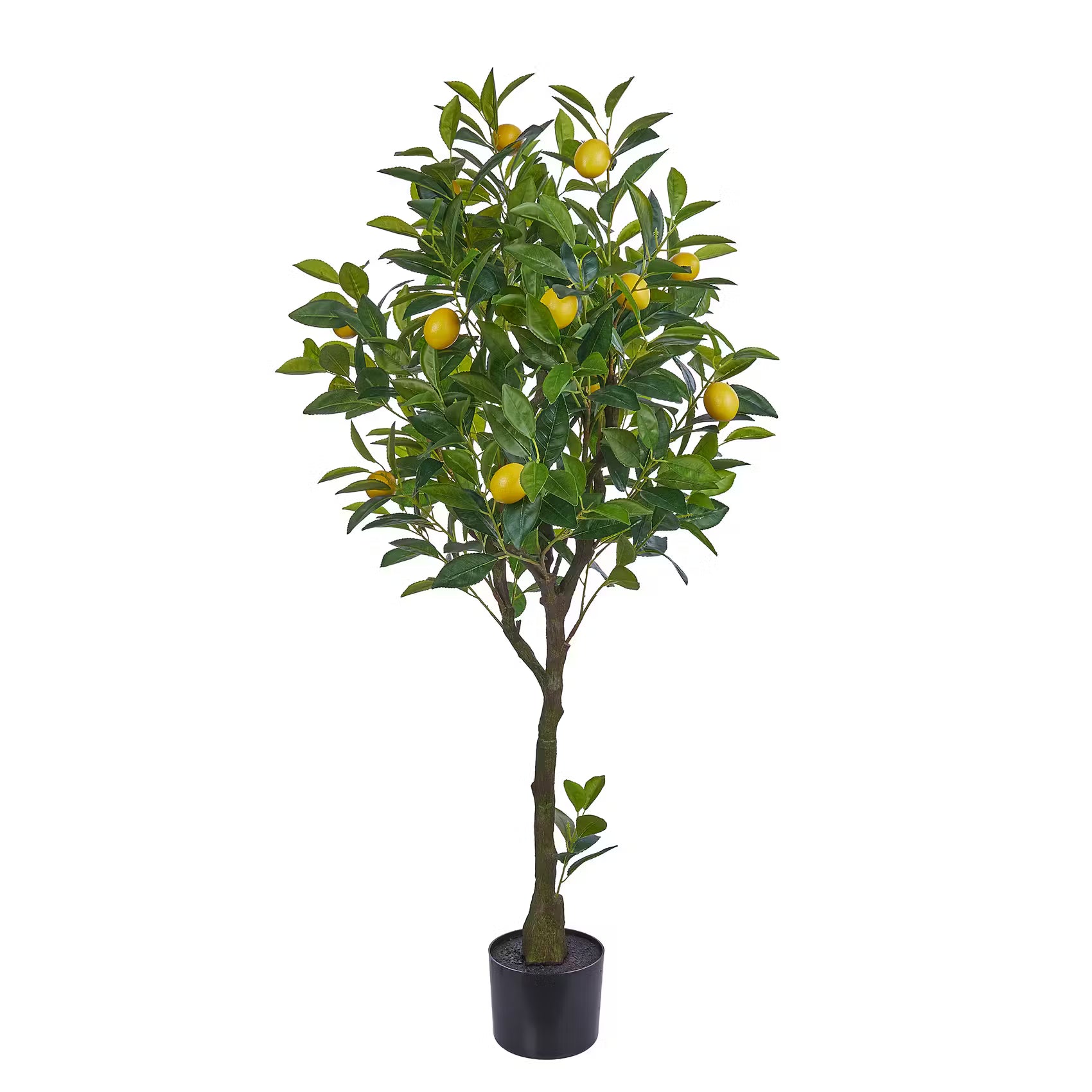 FLORISTA Kunstpflanze Zitronenbaum - Polyester / Polyethylen - Gelb