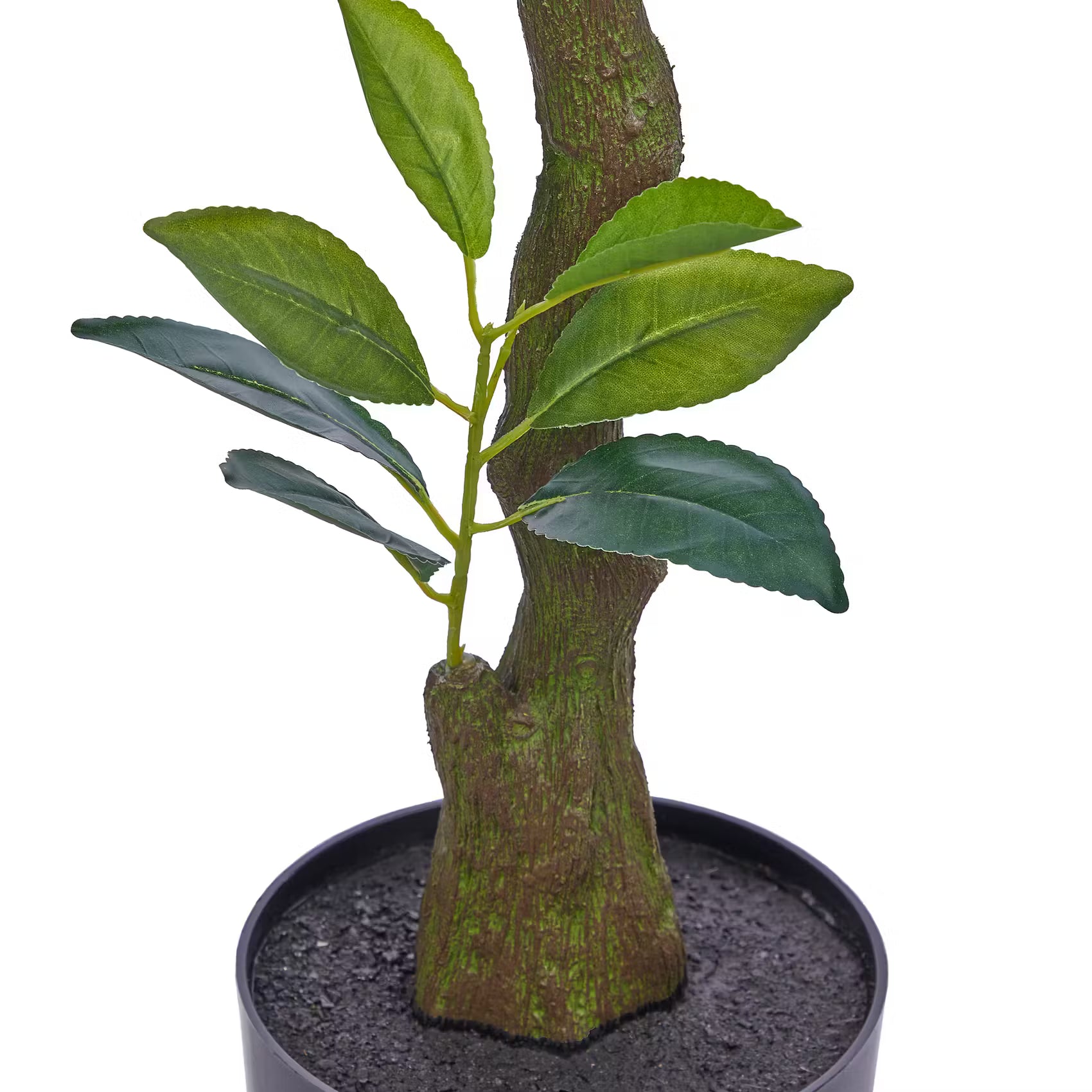 FLORISTA Kunstpflanze Zitronenbaum - Polyester / Polyethylen - Gelb