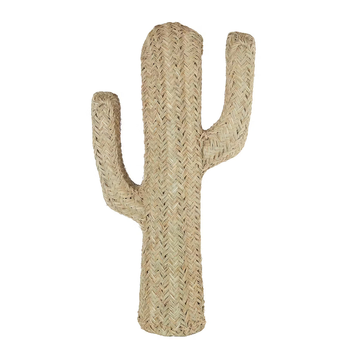 deko kaktus weiß 🌵 RUSH ROPE Deko-Kaktus – Stattlicher Blickfang – BUTLERS