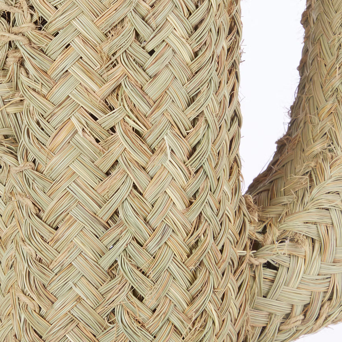 🌵 RUSH ROPE Deko-Kaktus – Stattlicher Blickfang – BUTLERS