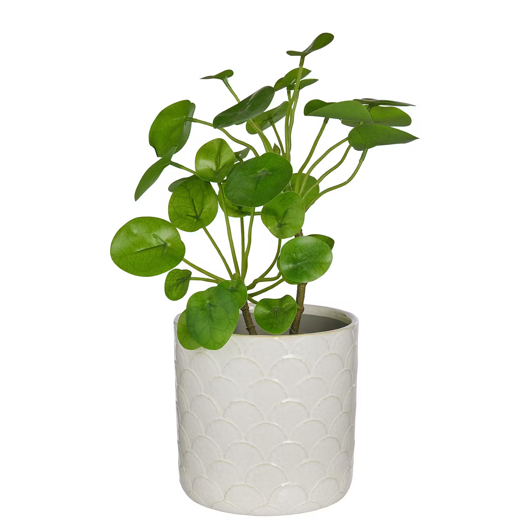 ARIA Blumenübertopf - Steingut - Creme