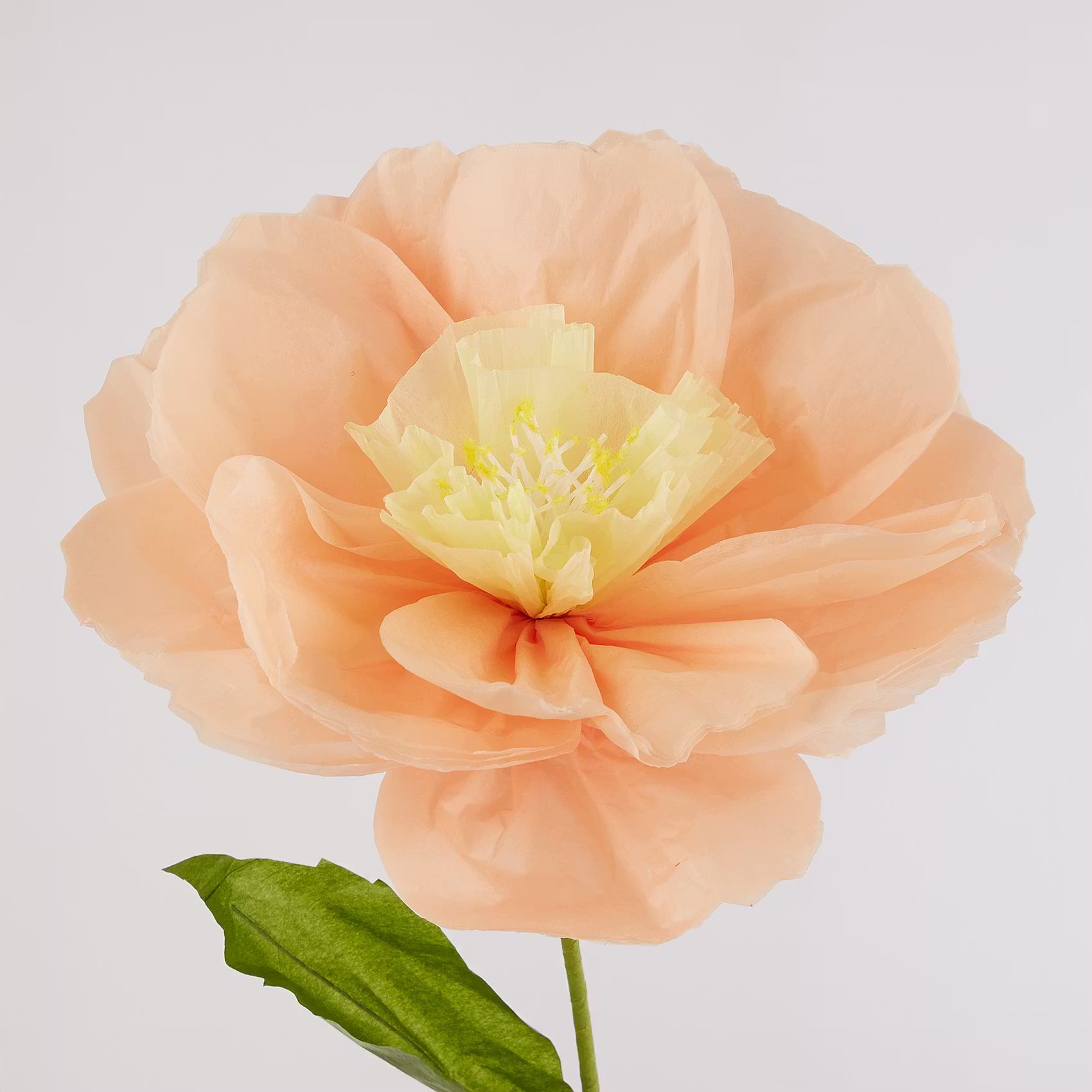 BLOOM Deko-Blume - Papier / Eisen - Pastellorange - Apricot