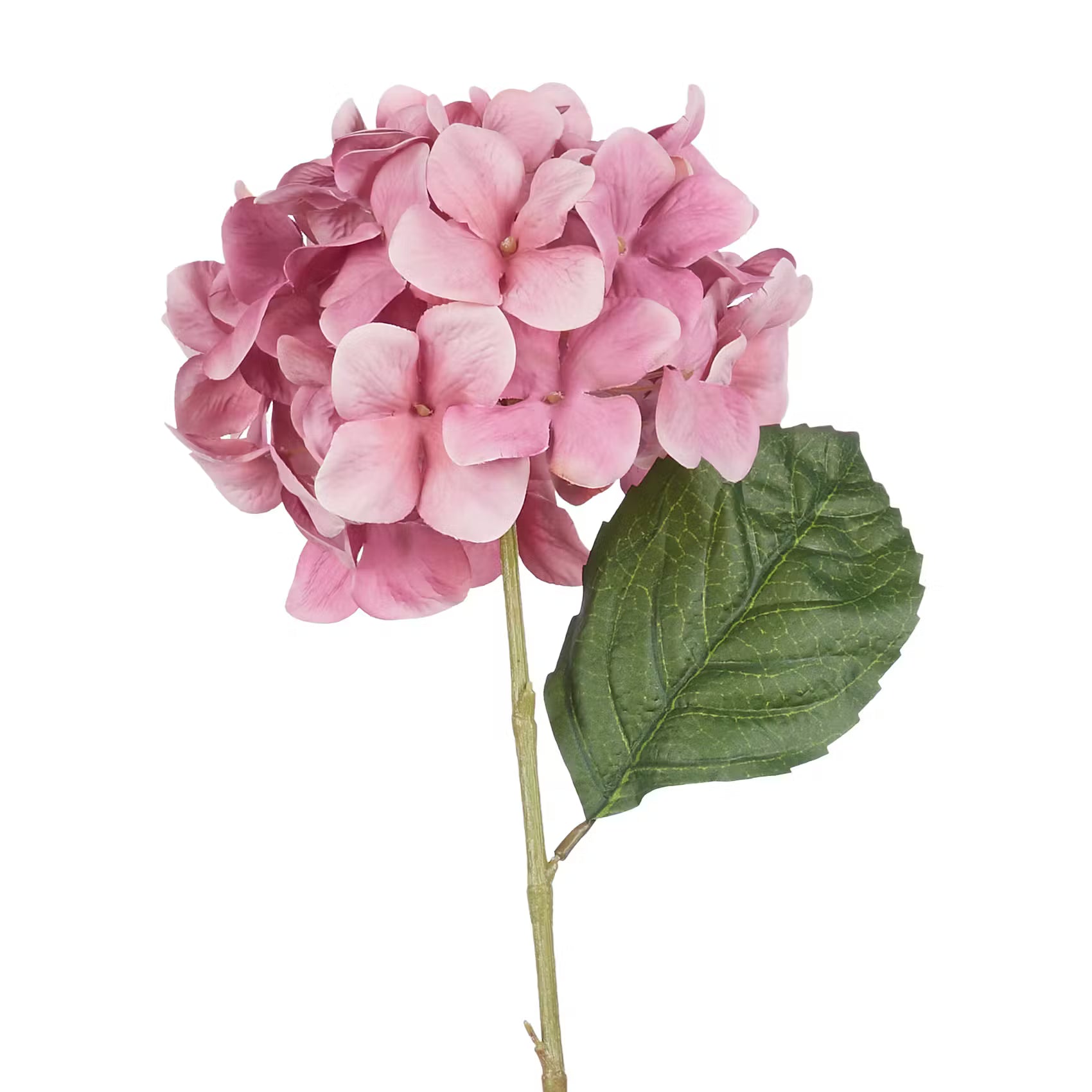FLORISTA Kunstblume Hortensie - Polyethylen/Polyester - Beere
