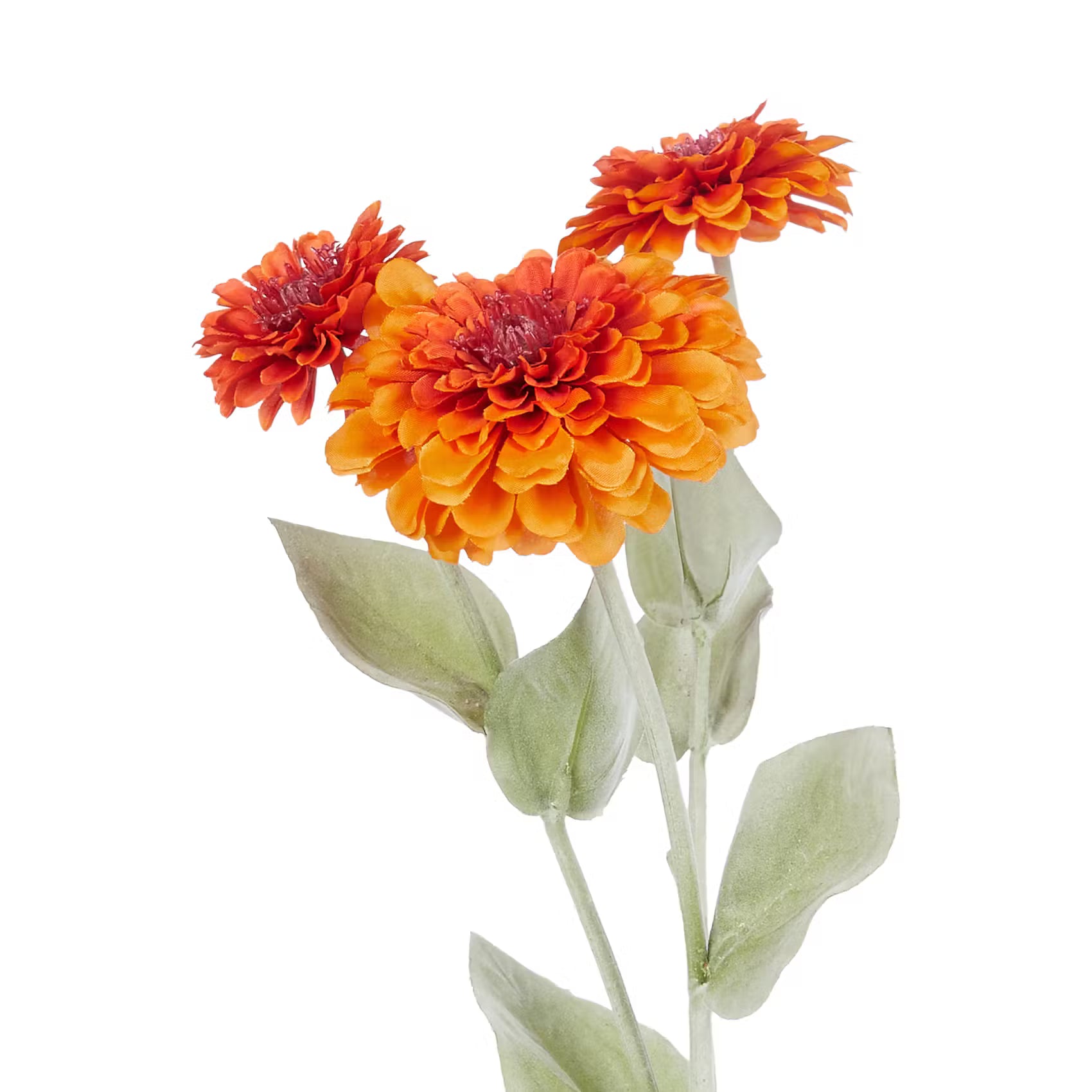 FLORISTA Kunstblume Zinnia - Polyethylen/Polyester  - Orange