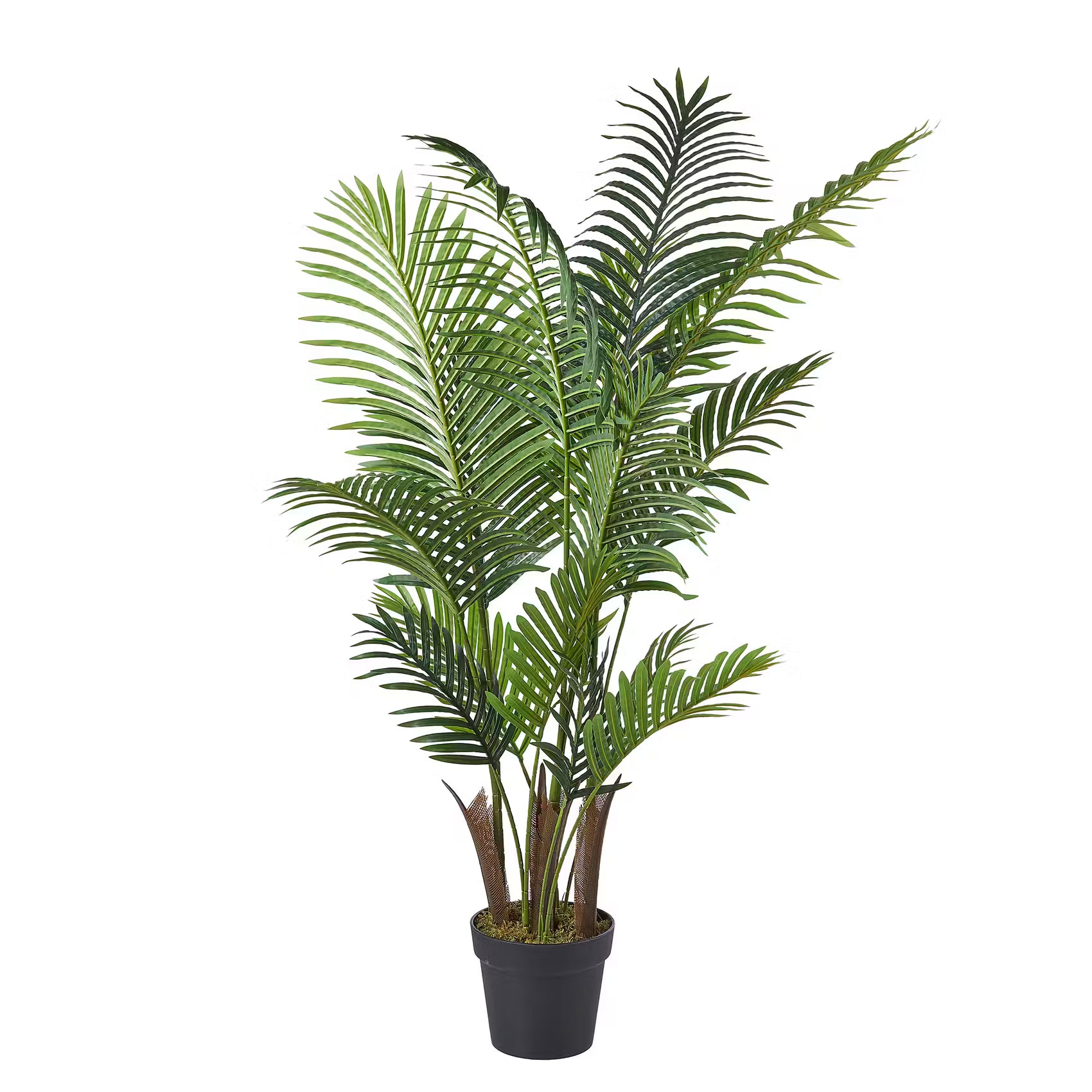 FLORISTA Kunstblume Farn