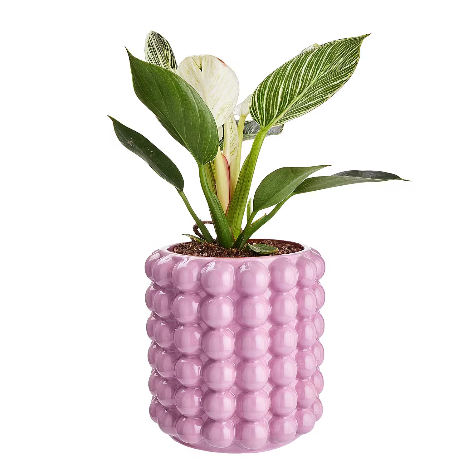 BUBBLE Blumenübertopf 4er-Set - Steingut - Pink - Pink