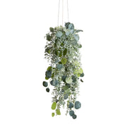 FLORISTA Hängepflanze Eukalyptus 6er-Set