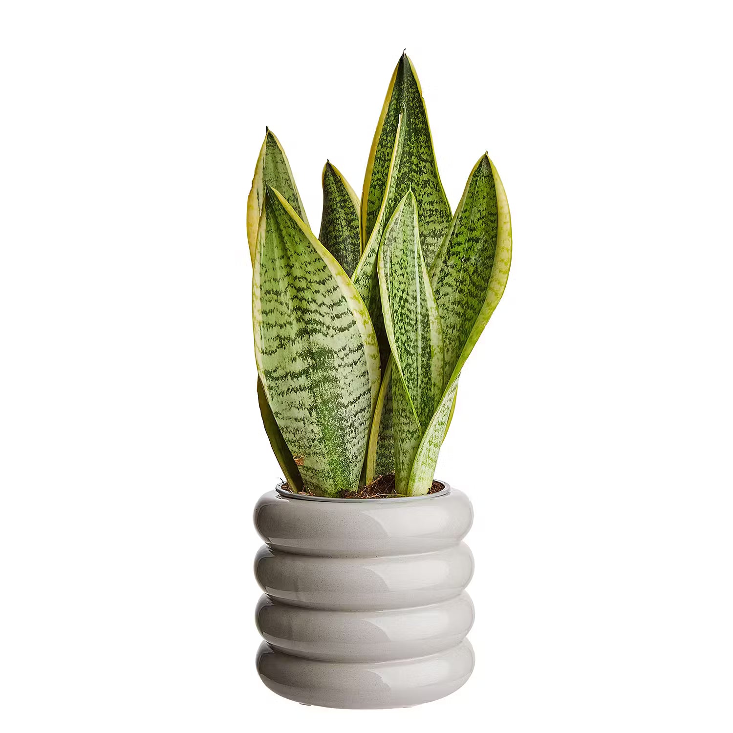 HOOP Blumentopf 4er-Set - Steingut - Grau