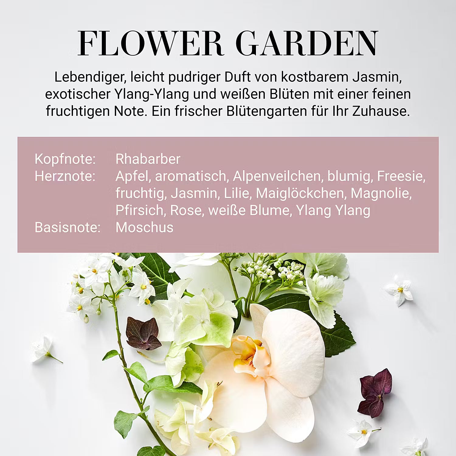 ESSENCE Duftöl Flower Garden 6er-Set - Glas / Kunststoff / Raumduft - Braun