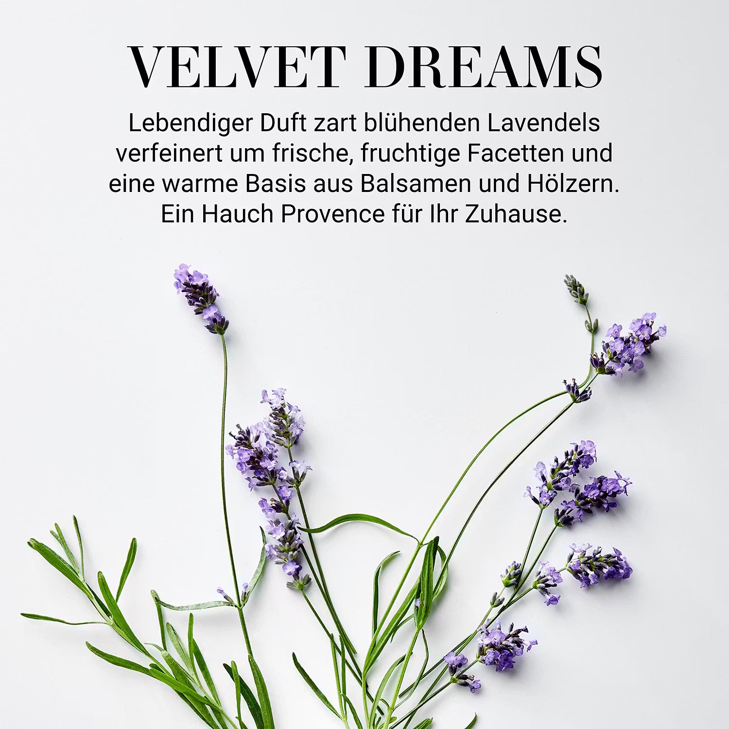 ESSENCE Duftöl Velvet Dreams 6er-Set - Glas / Kunststoff / Raumduft - Braun