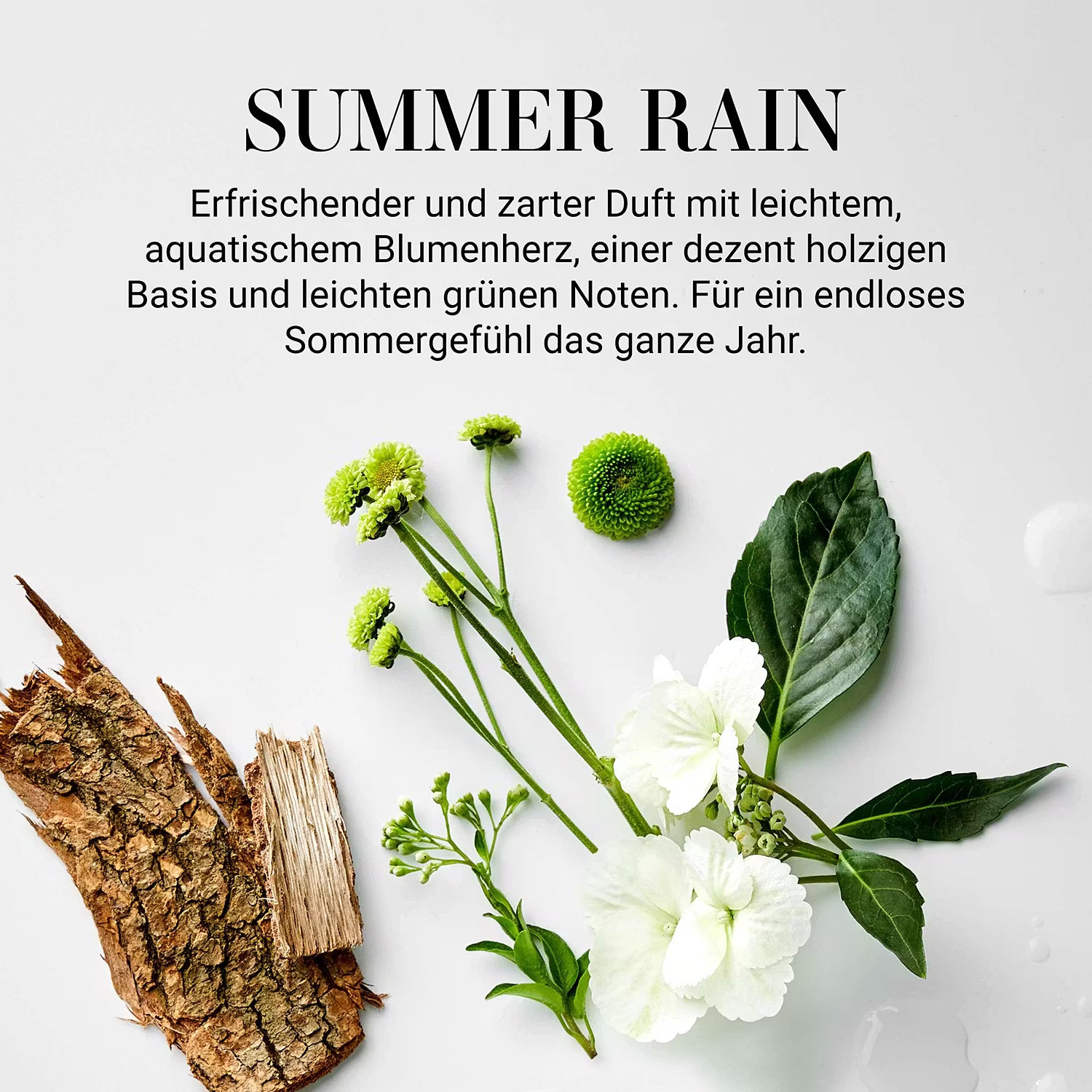 ESSENCE Duftöl Summer Rain 6er-Set - Glas / Kunststoff / Raumduft - Braun