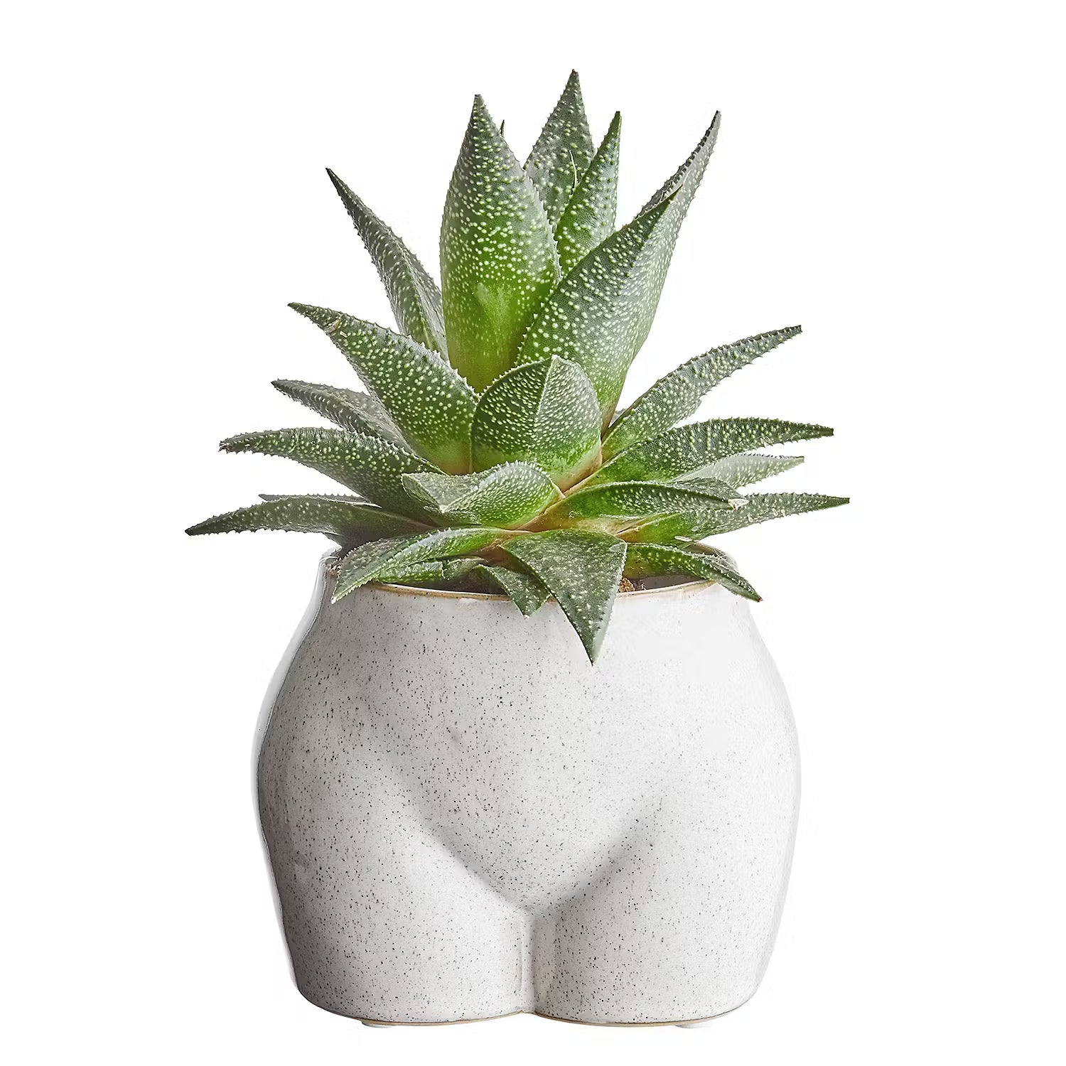 Blumentopf BOTTY 4er-Set