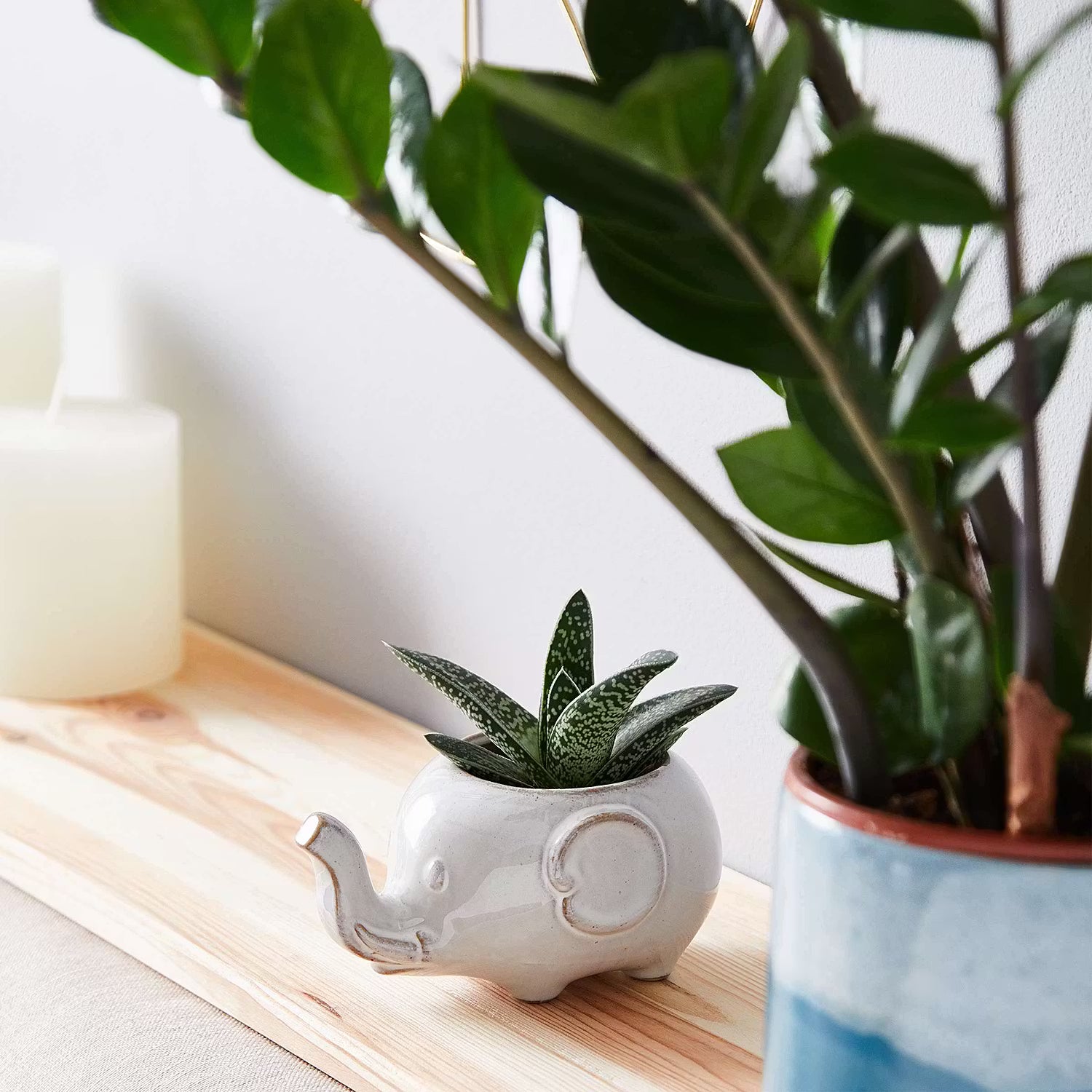 JUNGLE Elefant Blumenübertopf 2er-Set - Steinzeug - Beige