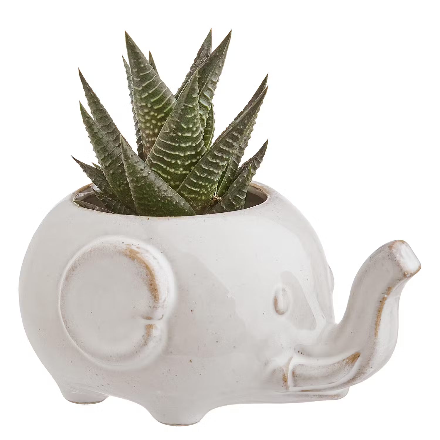 JUNGLE Elefant Blumenübertopf 2er-Set - Steinzeug - Beige