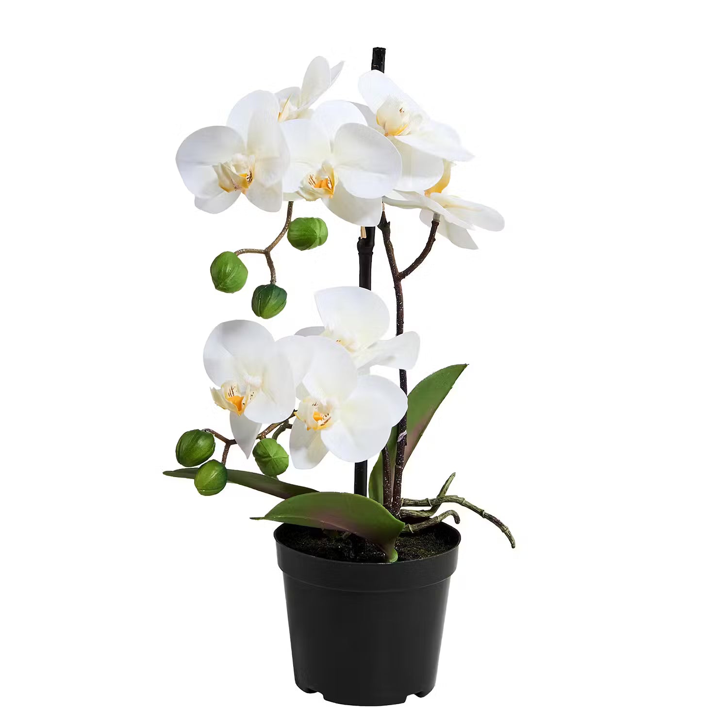 FLORISTA Kunstpflanze Orchidee 4er-Set - Eisen / Polyethylen - Weiß