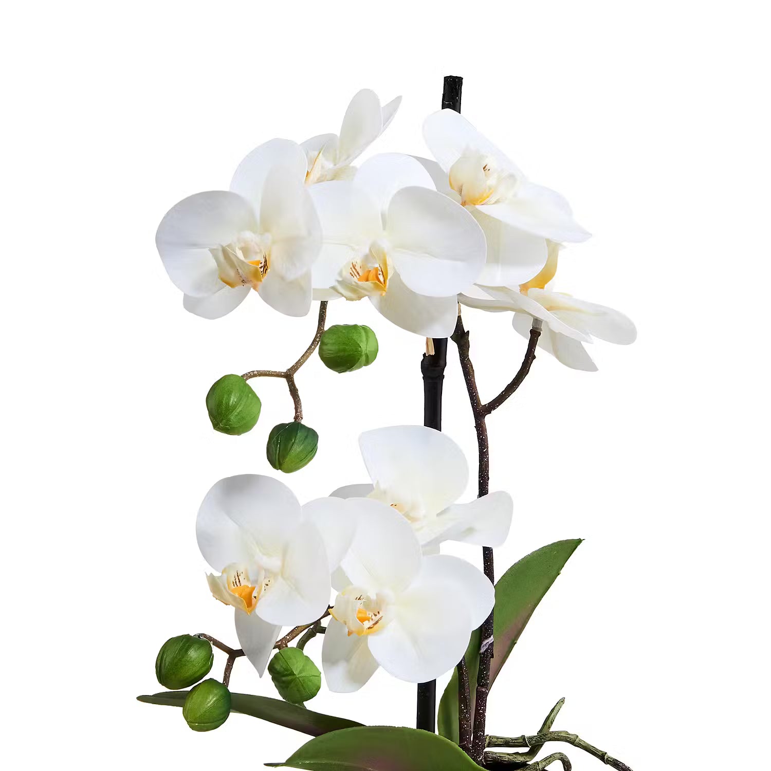 FLORISTA Kunstpflanze Orchidee 4er-Set - Eisen / Polyethylen - Weiß
