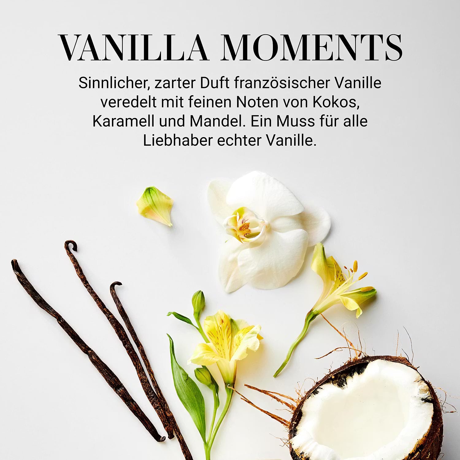 HOME & SOUL Duftkerze 4er-Set - Pinienholz / Sojawachs / Paraffin / Glas - Creme