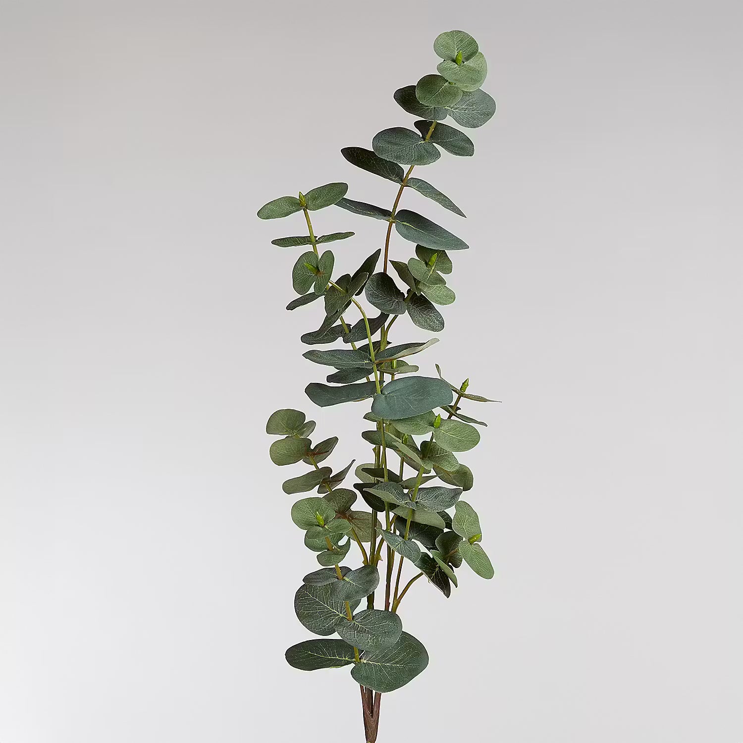 FLORISTA Kunstblume Eukalyptus 6er-Set - Polyester / Polyethylen / Draht - Grün