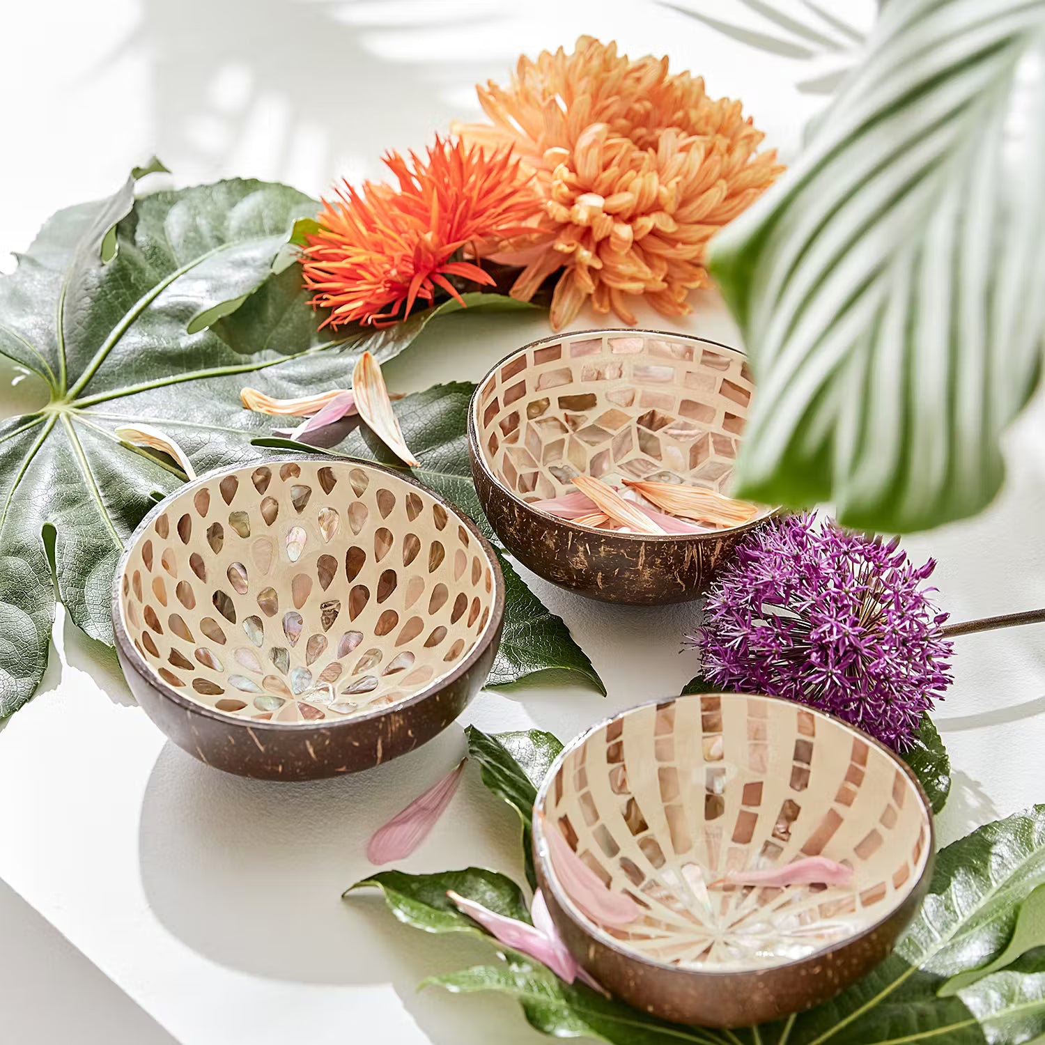 COCONUT Kokosnussschale 6er-Set - Kokos / Perlmutt - Braun / Weiß