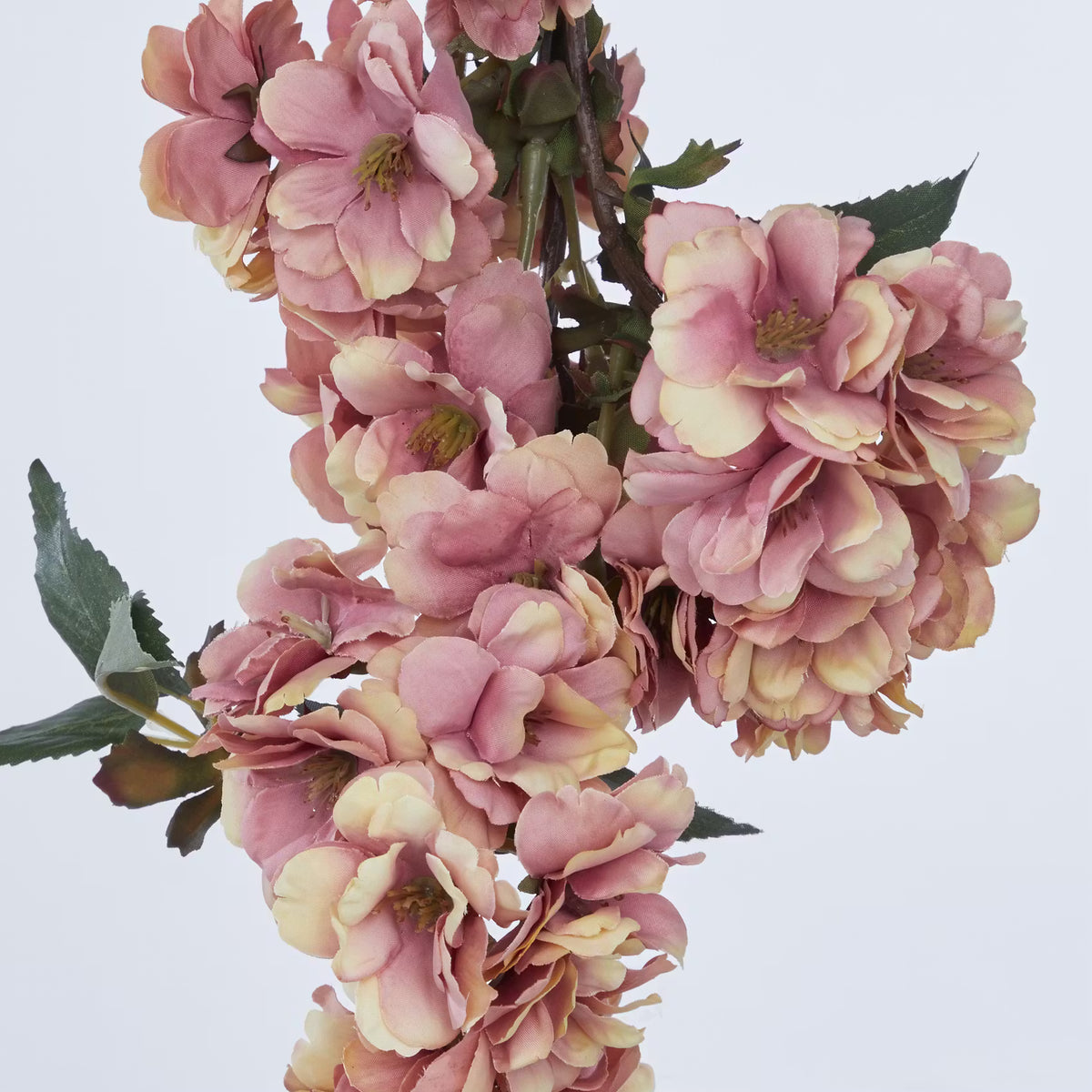 🌸 FLORISTA Kirschblüte – Natürliche Schönheit für dein Zuhause – BUTLERS