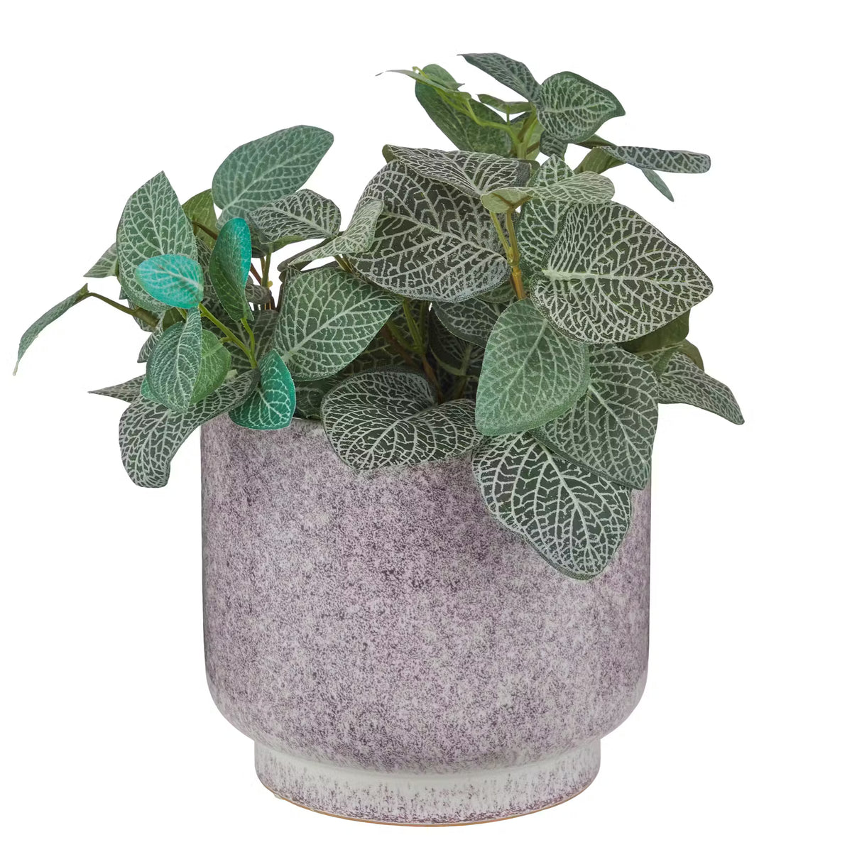 SPECKLE Blumenübertopf für dein Zuhause 🌿 – BUTLERS