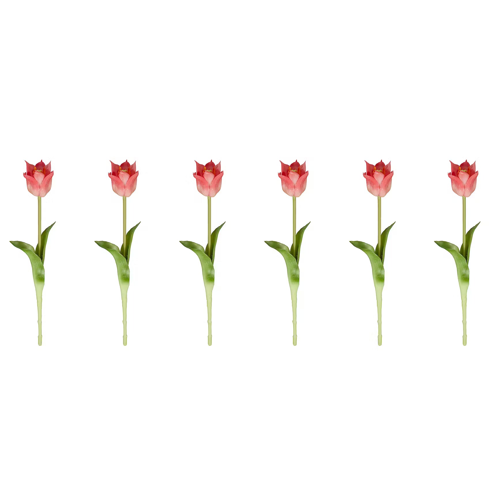 FLORISTA Tulpe 6er-Set - Polyester - Pink