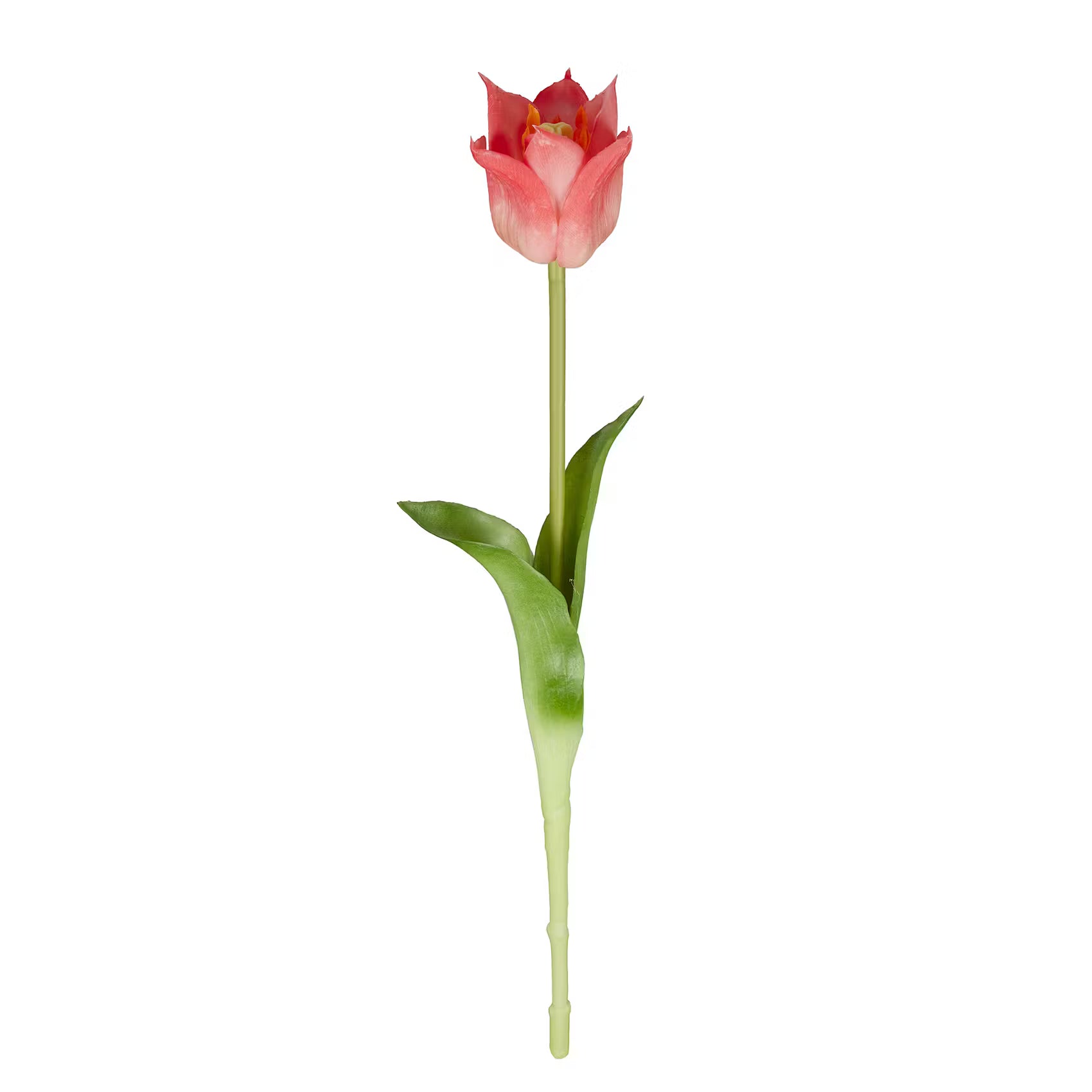 FLORISTA Tulpe 6er-Set - Polyester - Pink