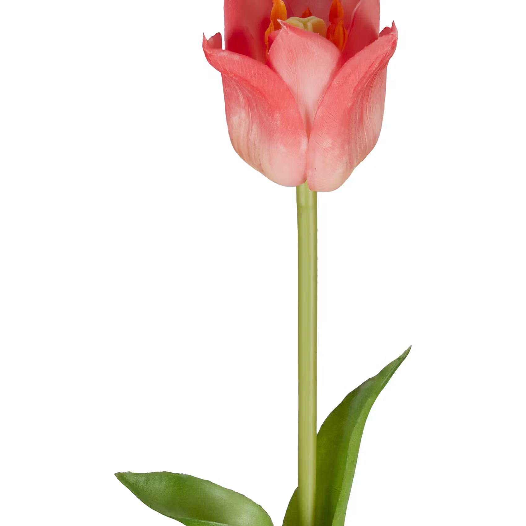 FLORISTA Tulpe 6er-Set - Polyester - Pink