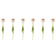 FLORISTA Tulpe 6er-Set - Polyester - Rose