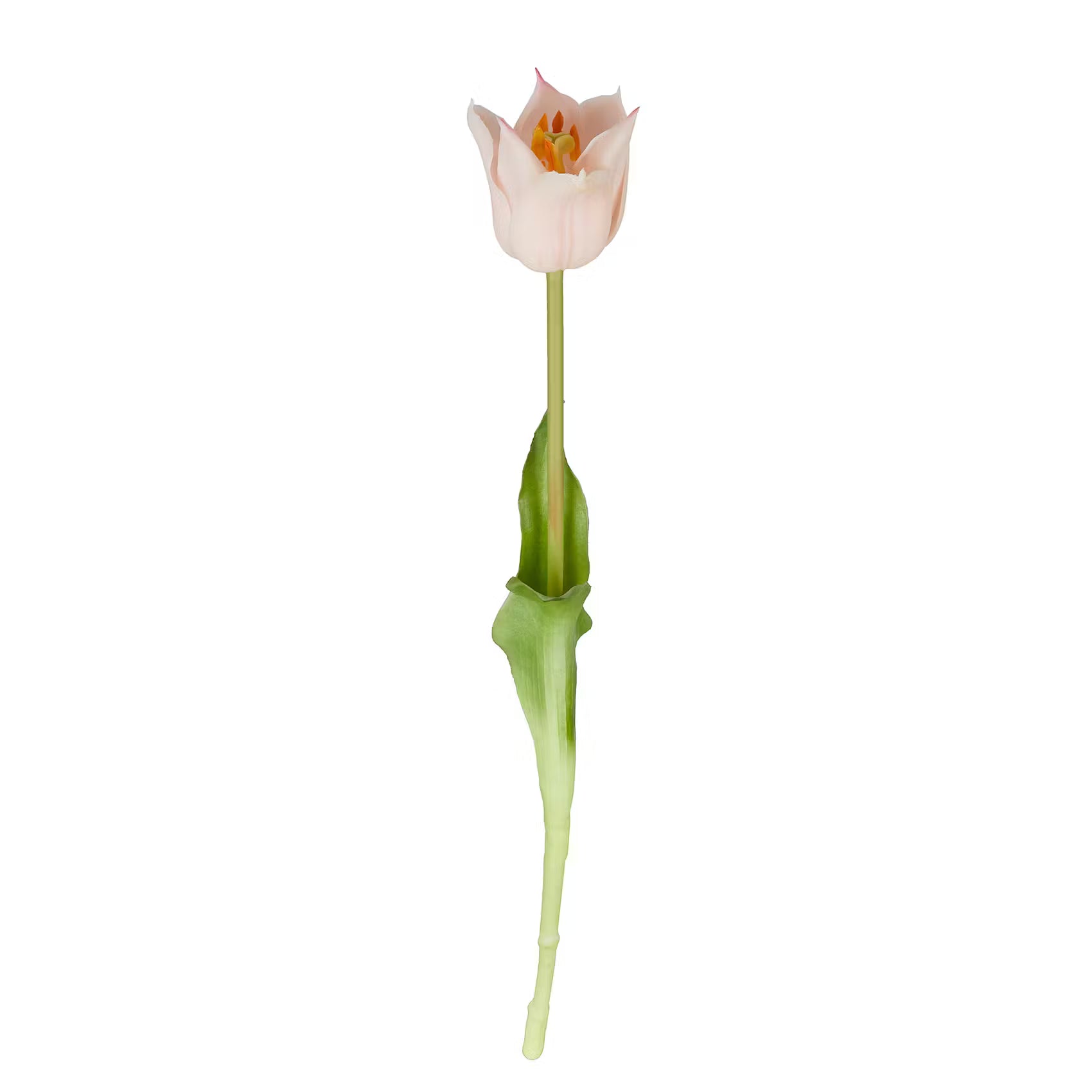 FLORISTA Tulpe 6er-Set - Polyester - Rose