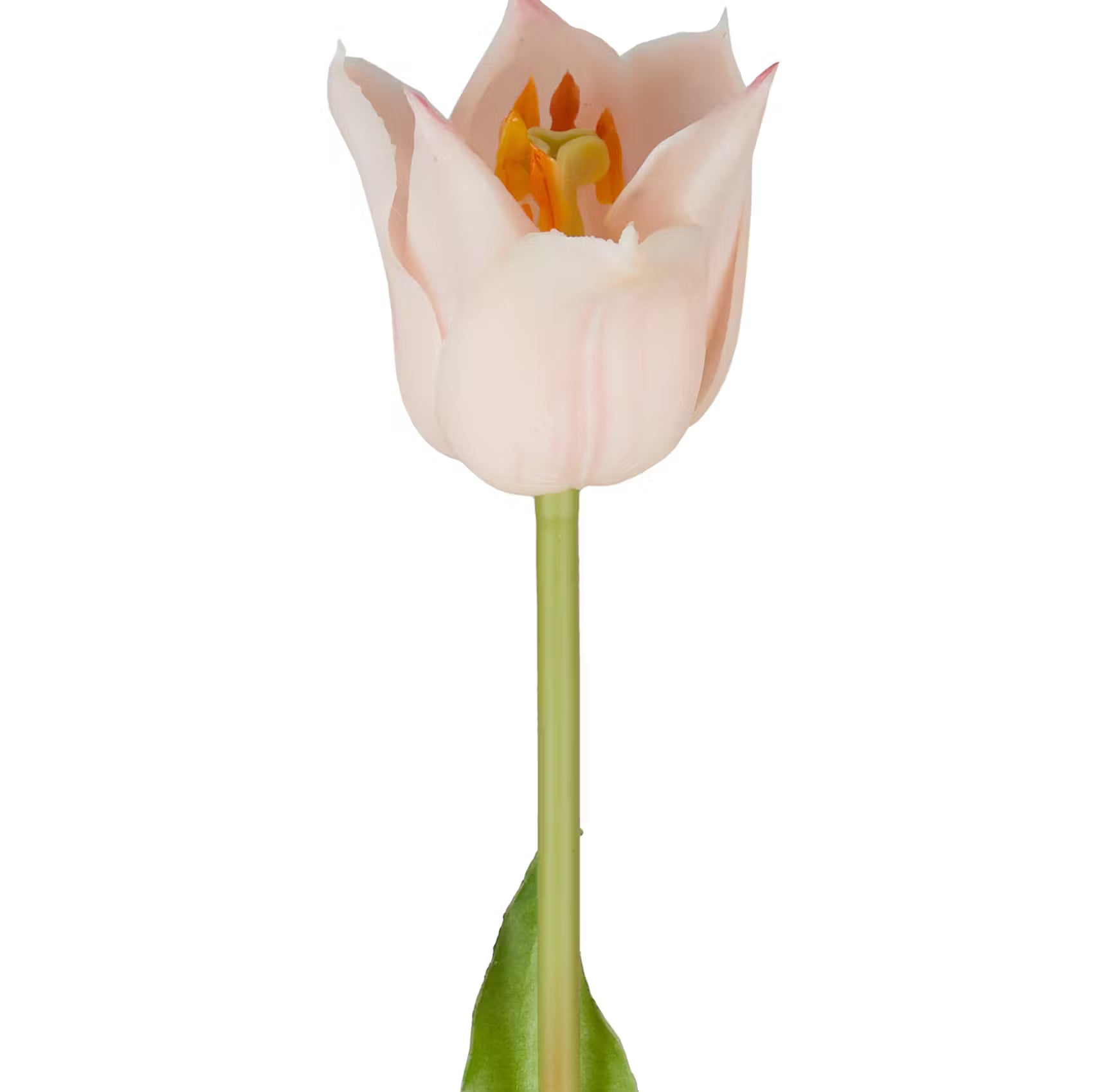FLORISTA Tulpe 6er-Set - Polyester - Rose