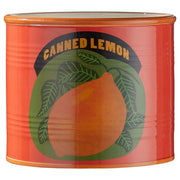 TIN Blumentopf Zitrone - Dolomit - Orange