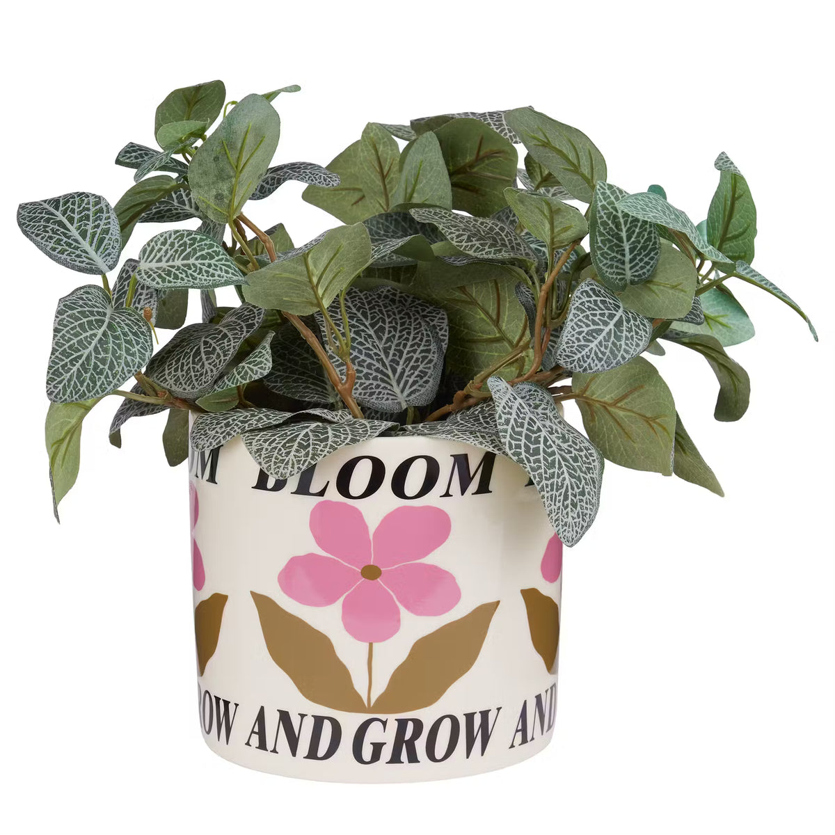 🌸 BLOOM & GROW Blumenübertopf für dein Zuhause – BUTLERS