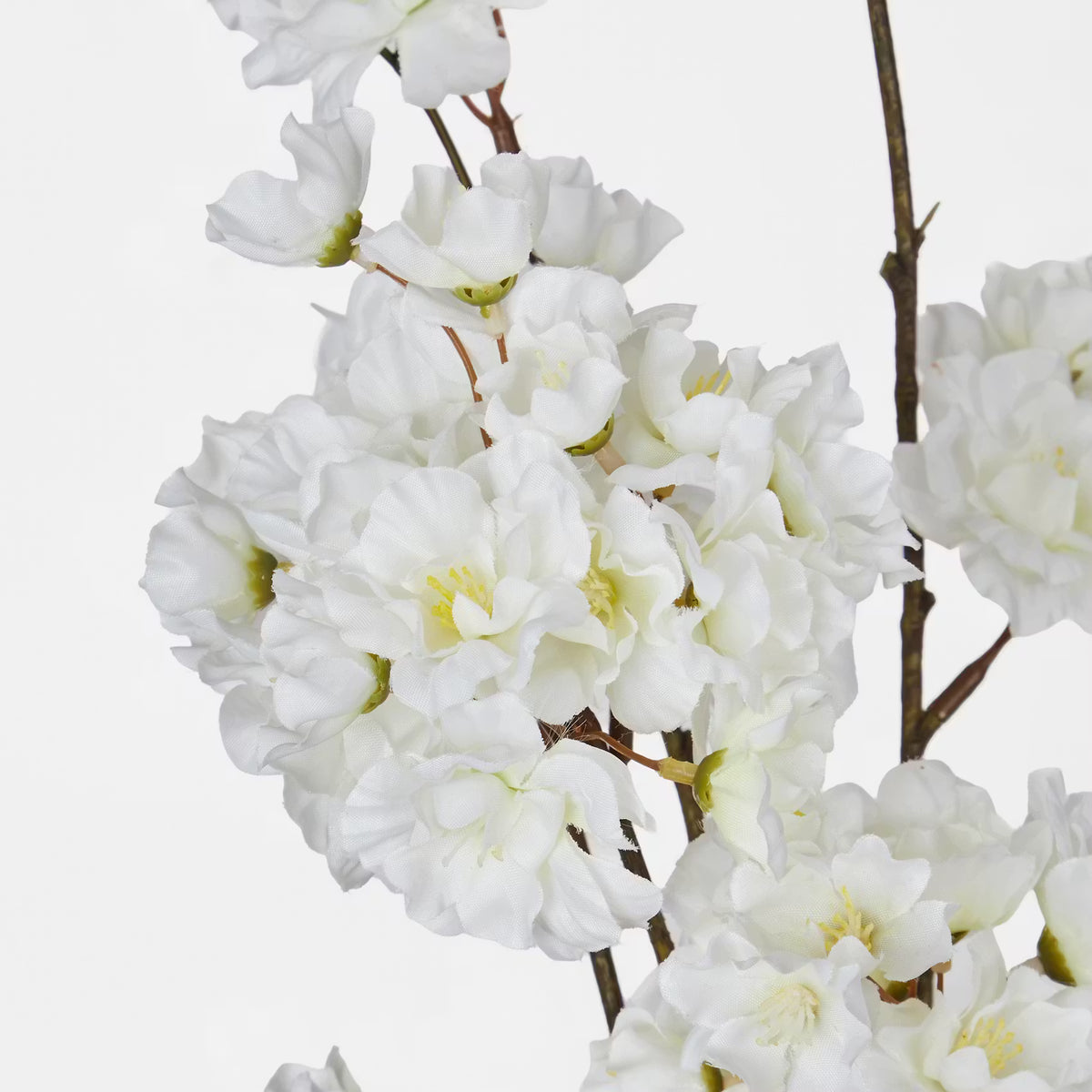 künstliche kirschblüten weiß FLORISTA Kunstblume Kirschblüte