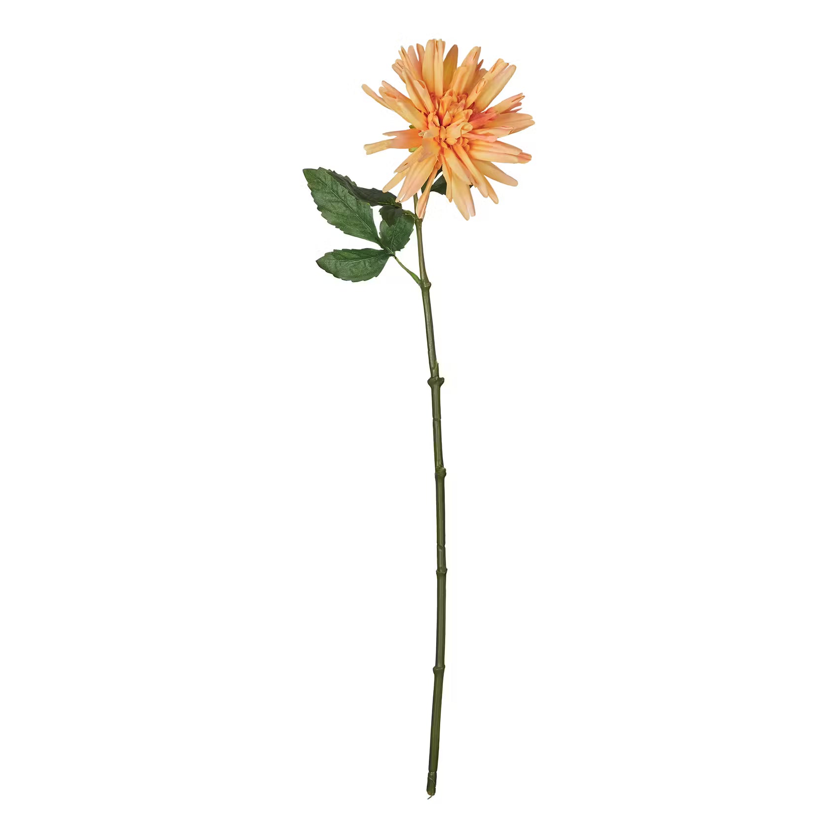 FLORISTA Kunstblume Dahlie - Polyethylen/Polyester - Orange - Orange