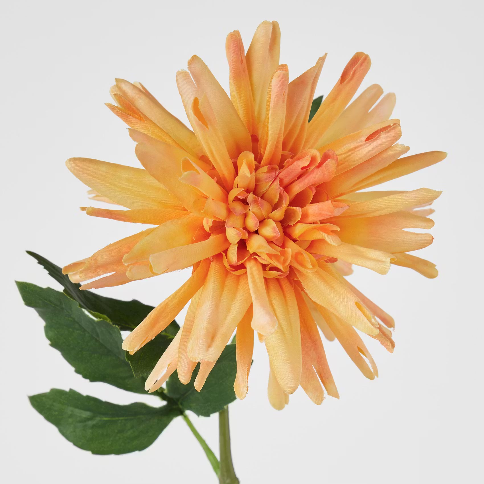 FLORISTA Kunstblume Dahlie - Polyethylen/Polyester - Orange - Orange